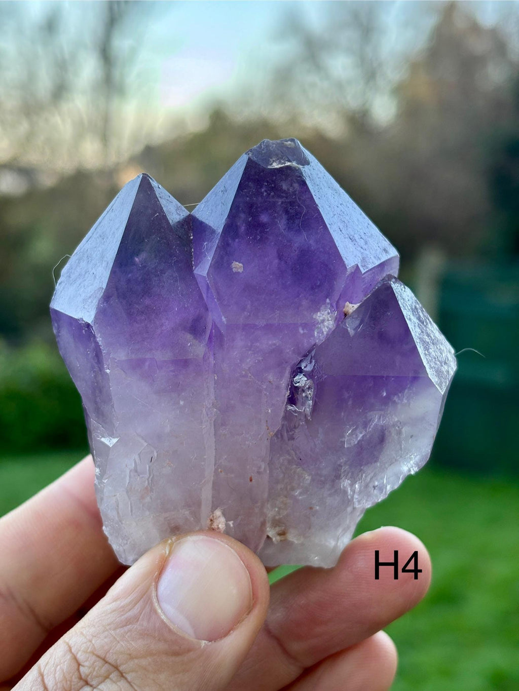 Brazilian Amethyst Point • Natural Purple Crystal for Reiki & Meditation