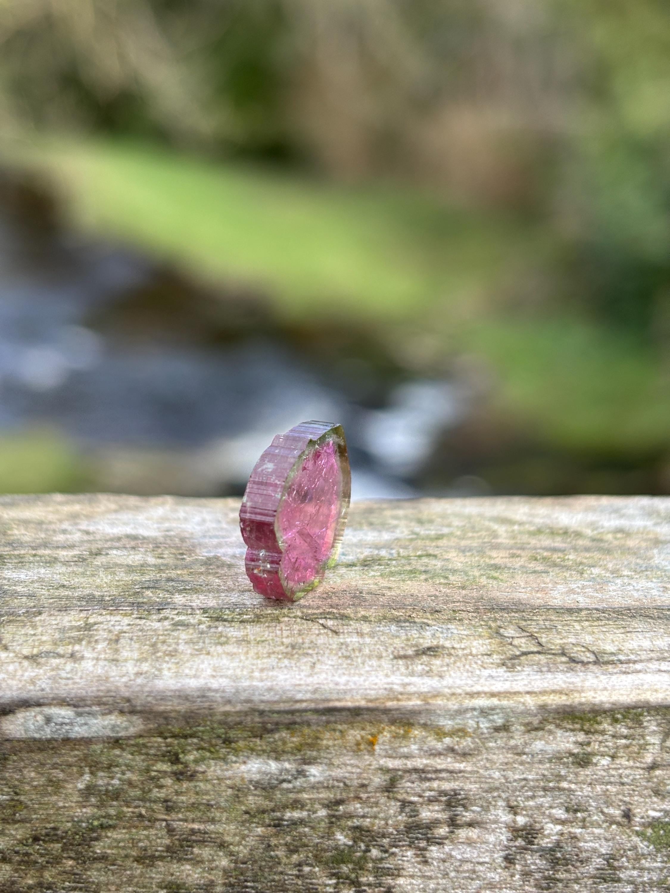 Watermelon Tourmaline Slice | Pink & Green Crystal | Heart Chakra Stone | Collector Gemstone | Natural Tourmaline