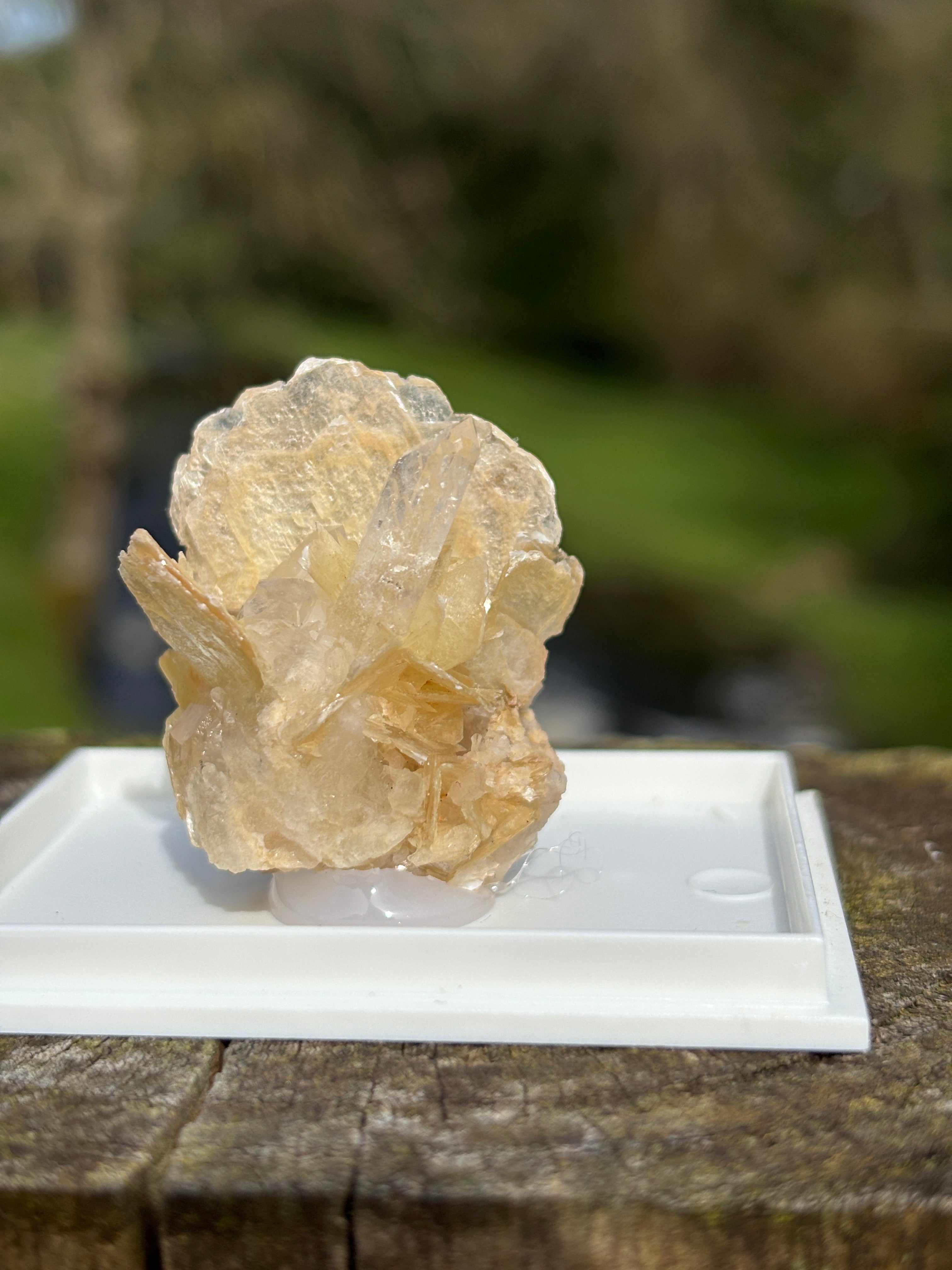 Quartz Points with Mica | Crystal Cluster in Matrix | Natural Mineral Specimen | Collector Stone in Display Box