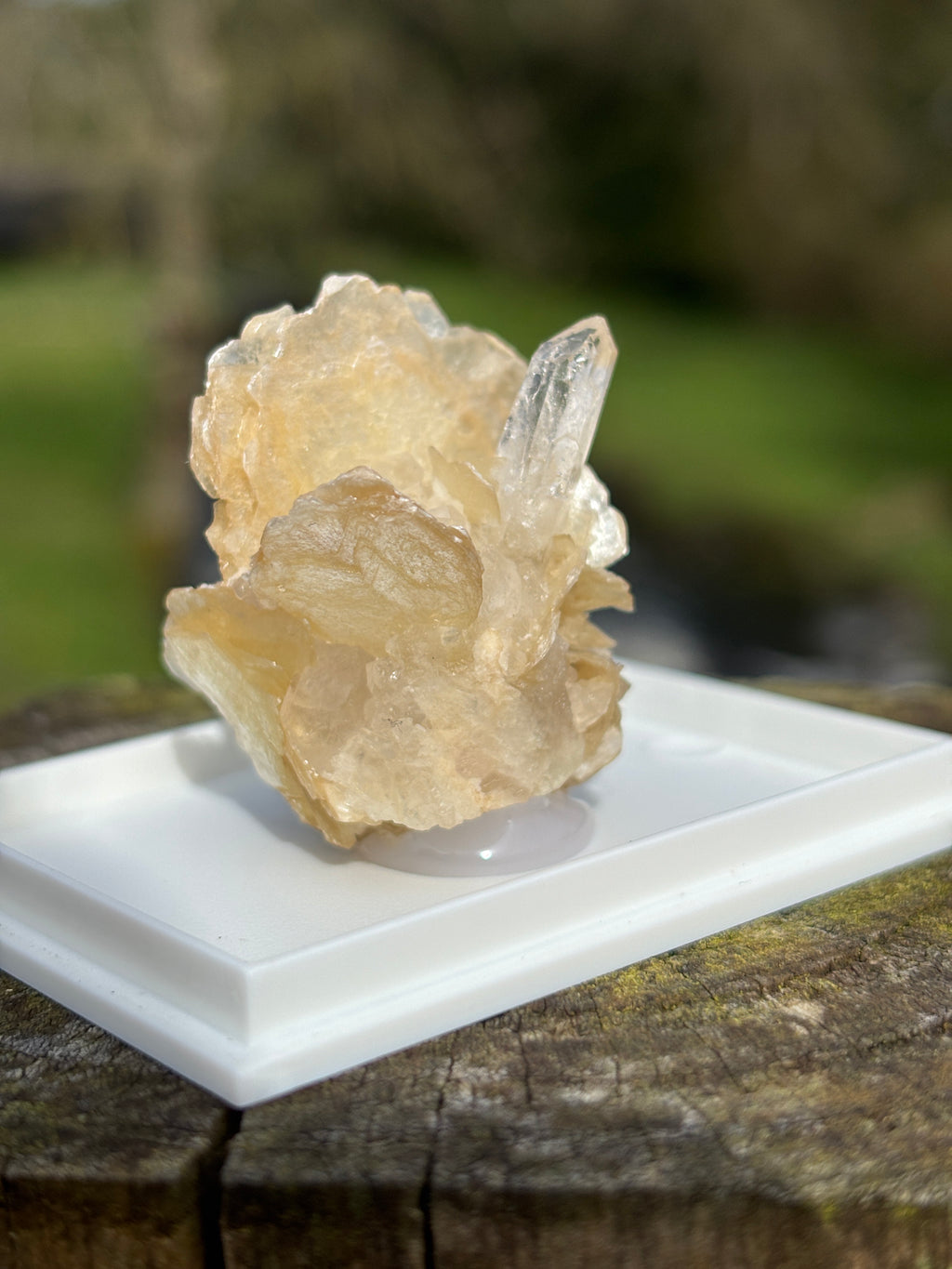 Quartz Points with Mica | Crystal Cluster in Matrix | Natural Mineral Specimen | Collector Stone in Display Box