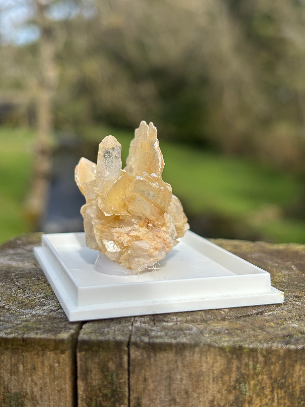 Quartz Points with Mica | Crystal Cluster in Matrix | Natural Mineral Specimen | Collector Stone in Display Box