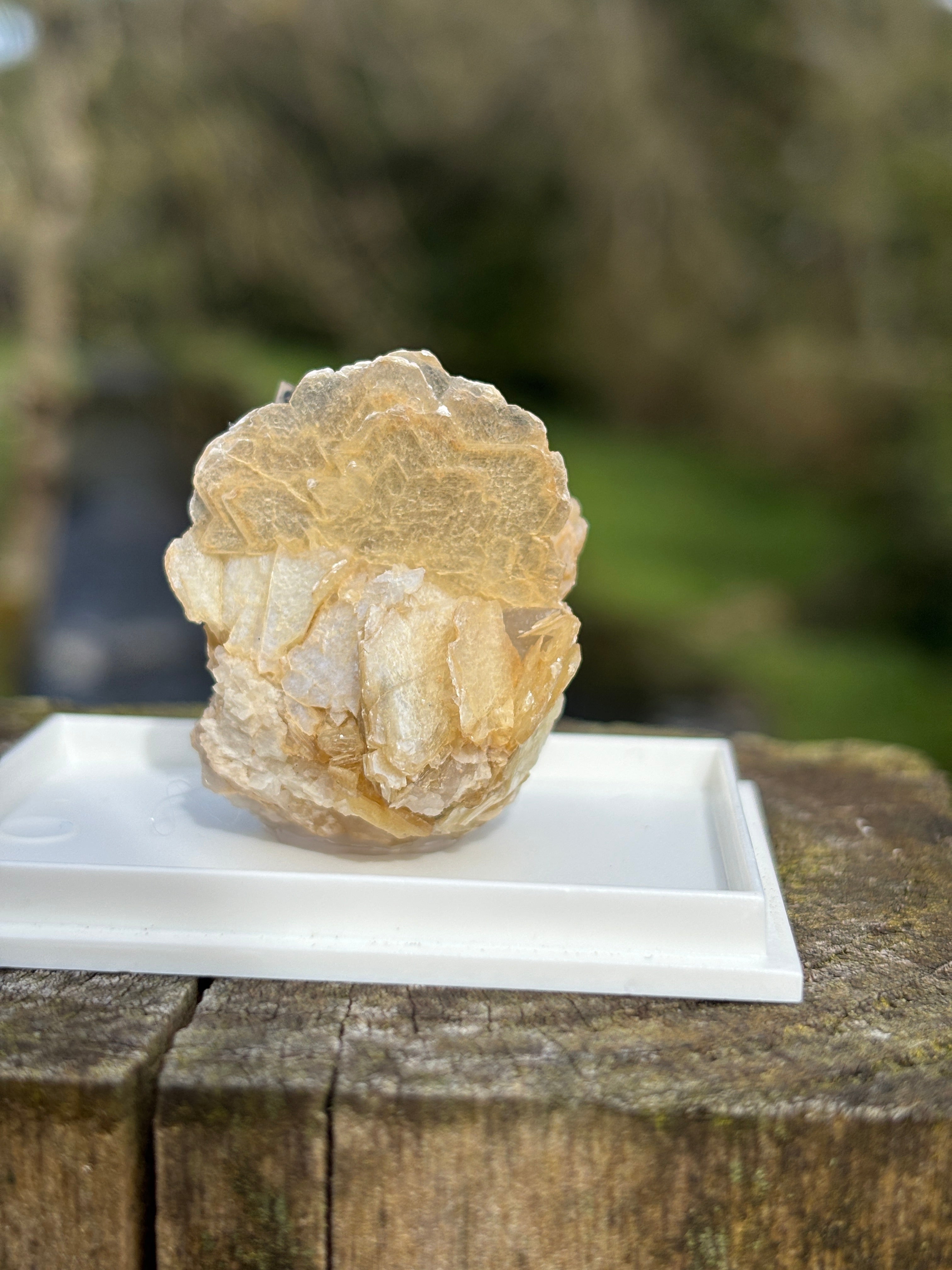 Quartz Points with Mica | Crystal Cluster in Matrix | Natural Mineral Specimen | Collector Stone in Display Box