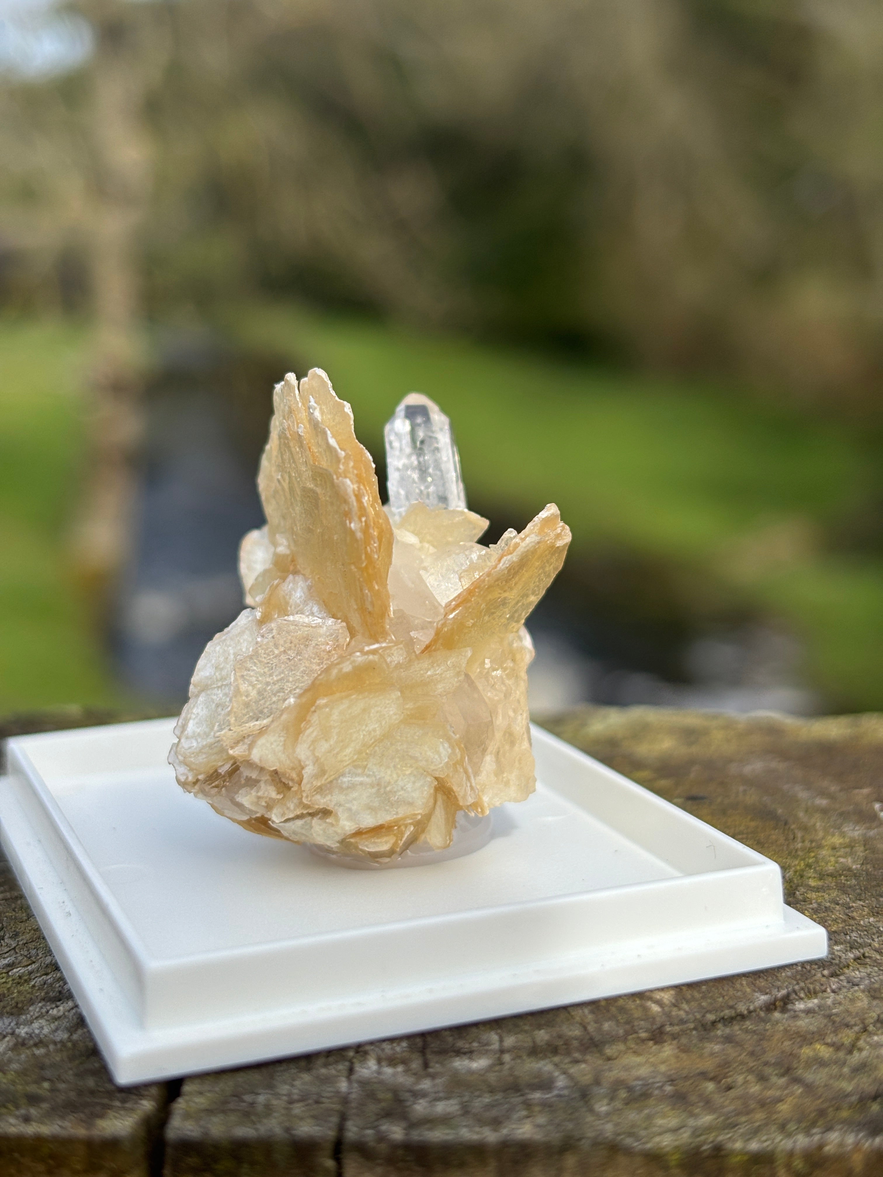 Quartz Points with Mica | Crystal Cluster in Matrix | Natural Mineral Specimen | Collector Stone in Display Box