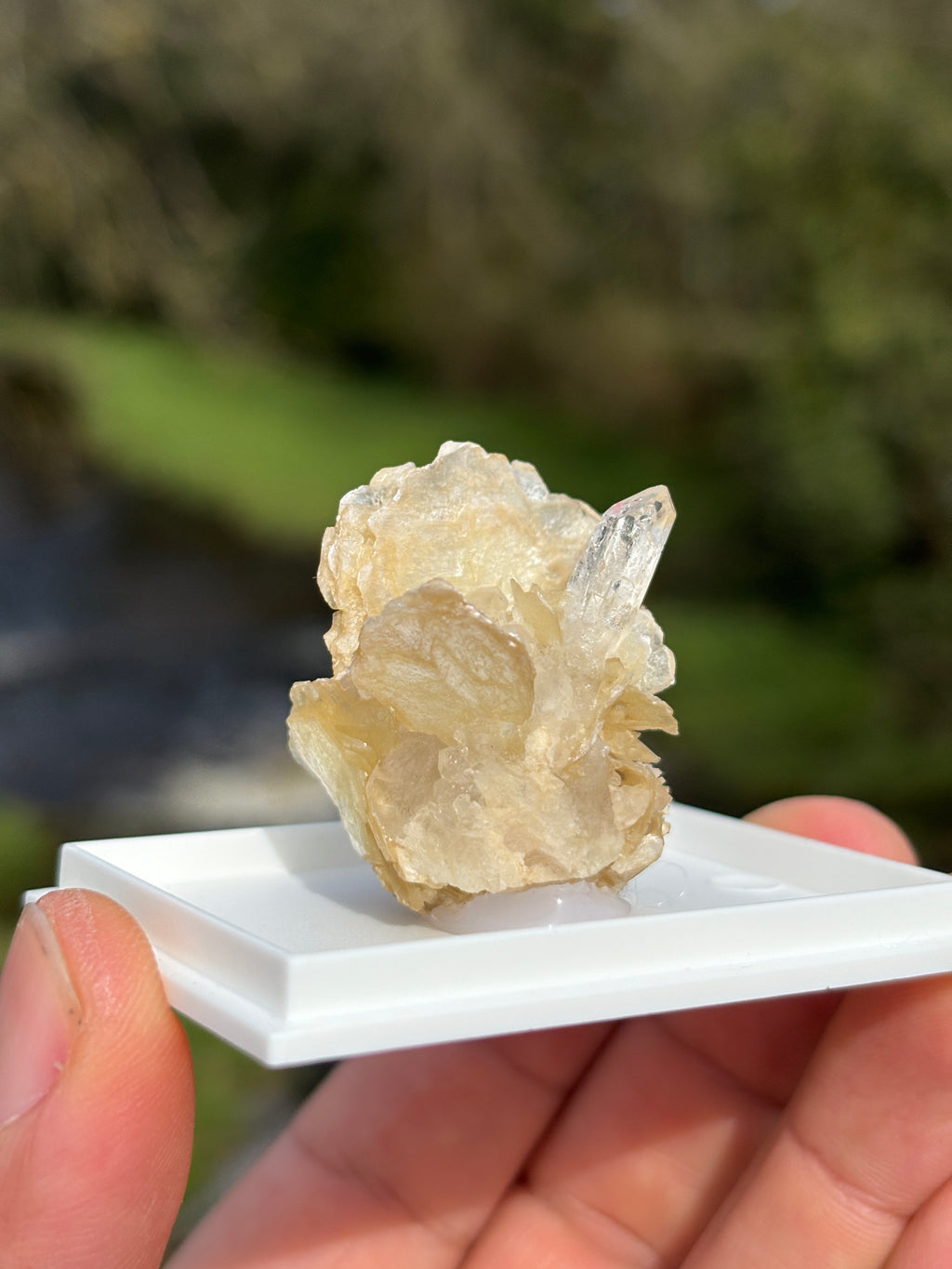 Quartz Points with Mica | Crystal Cluster in Matrix | Natural Mineral Specimen | Collector Stone in Display Box