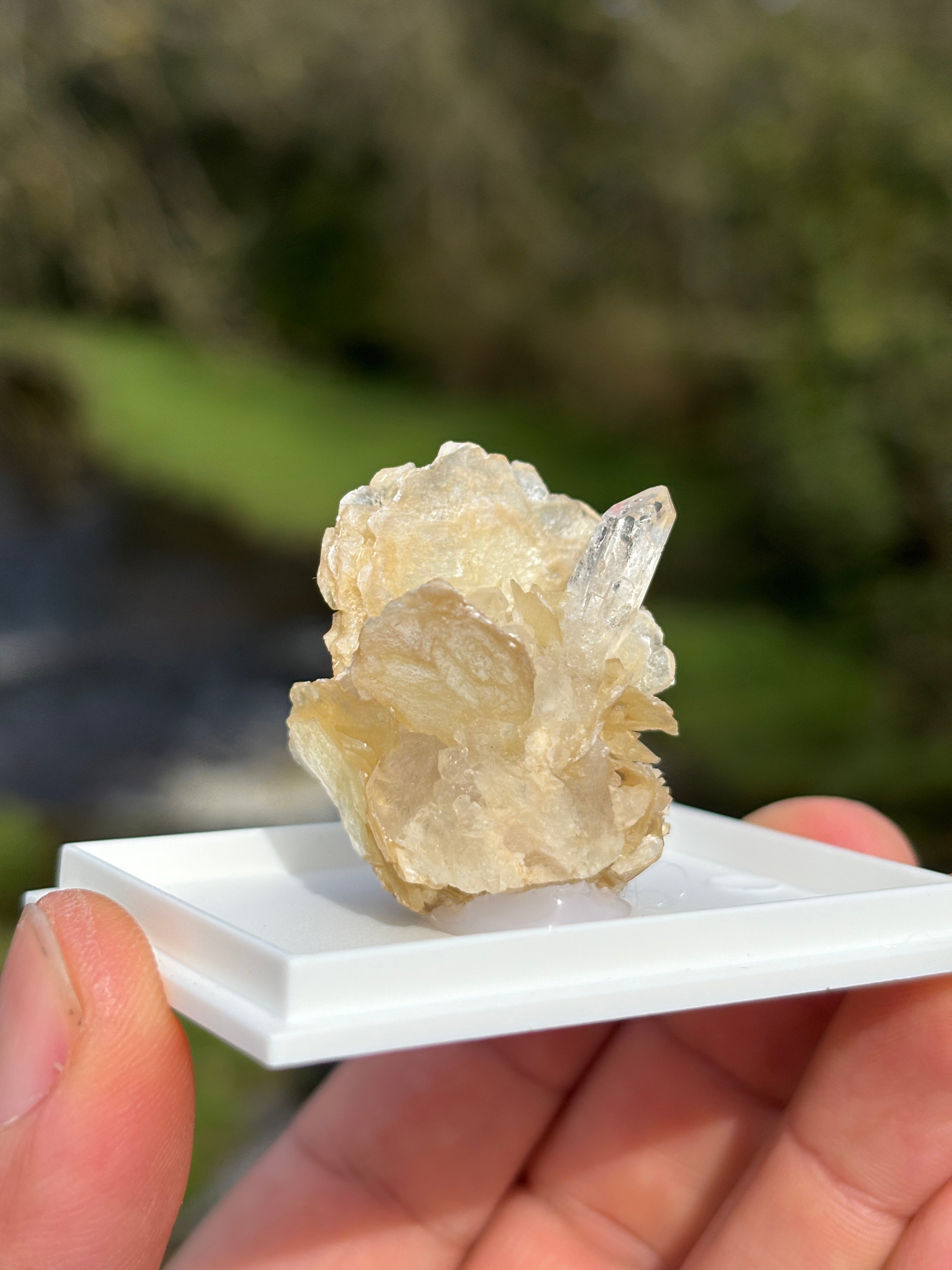 Quartz Points with Mica | Crystal Cluster in Matrix | Natural Mineral Specimen | Collector Stone in Display Box