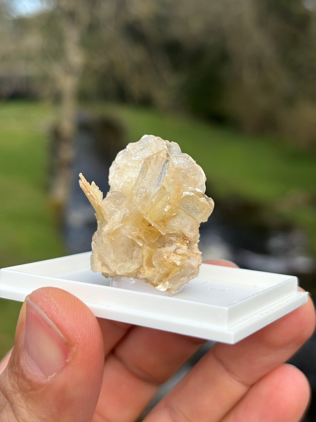 Quartz Points with Mica | Crystal Cluster in Matrix | Natural Mineral Specimen | Collector Stone in Display Box