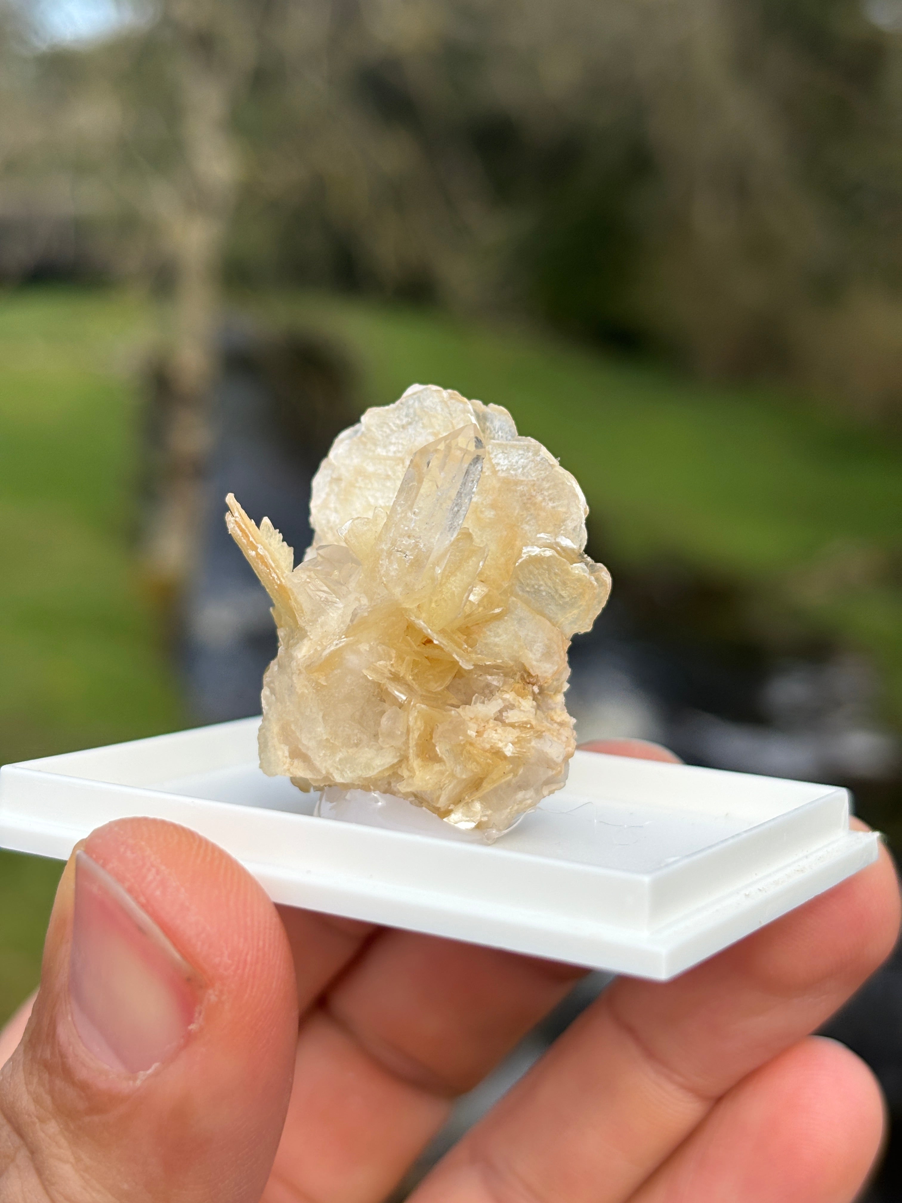 Quartz Points with Mica | Crystal Cluster in Matrix | Natural Mineral Specimen | Collector Stone in Display Box