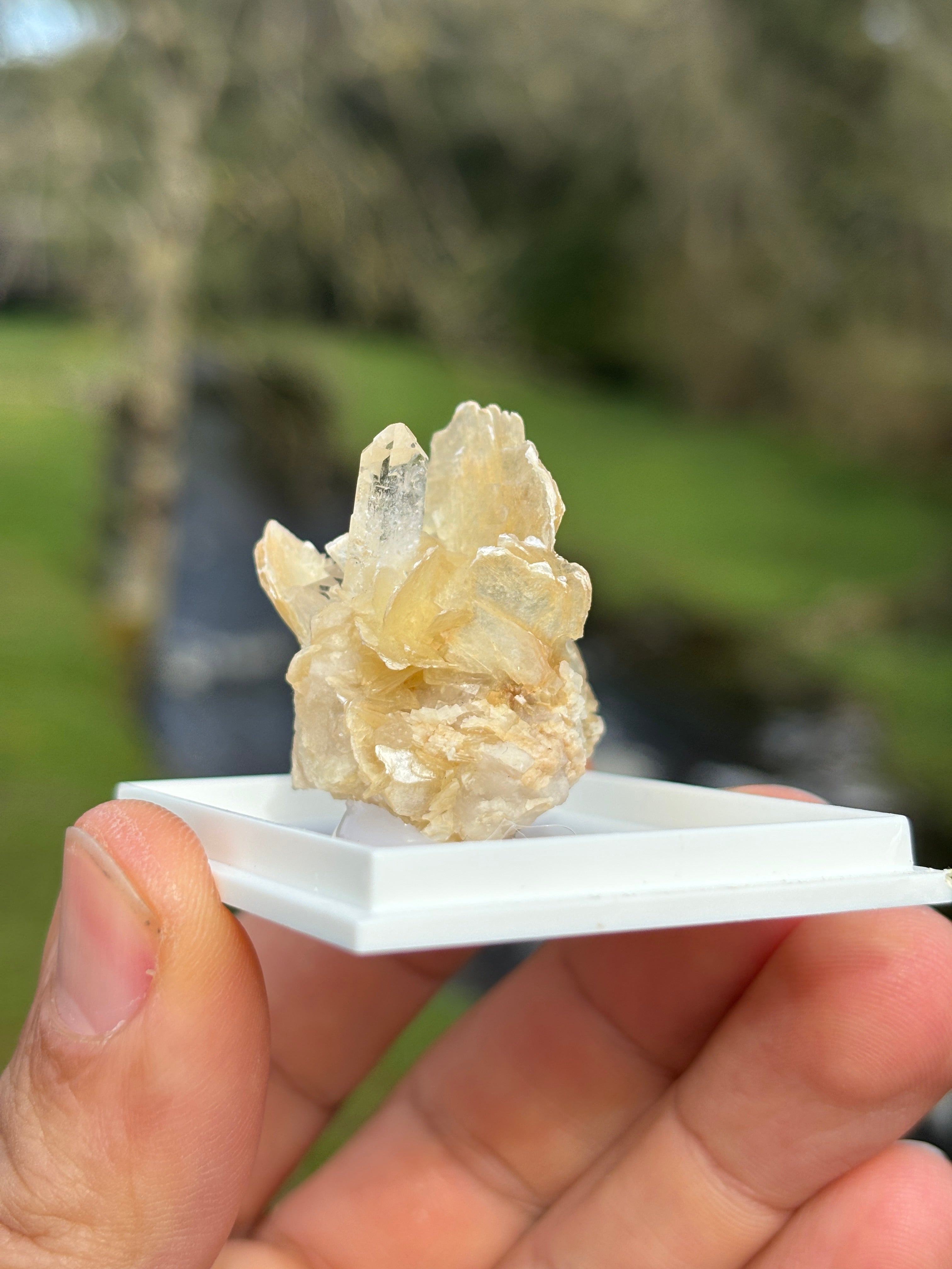 Quartz Points with Mica | Crystal Cluster in Matrix | Natural Mineral Specimen | Collector Stone in Display Box