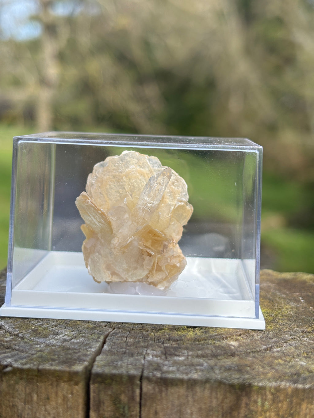 Quartz Points with Mica | Crystal Cluster in Matrix | Natural Mineral Specimen | Collector Stone in Display Box