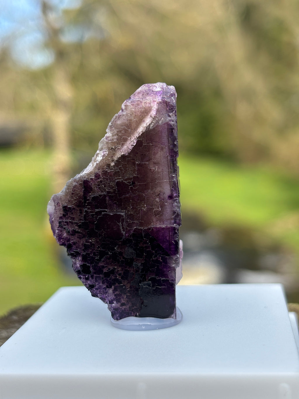Purple Fluorite Crystal | Natural Healing Stone | Violet Mineral Specimen | Collector Piece in Display Box
