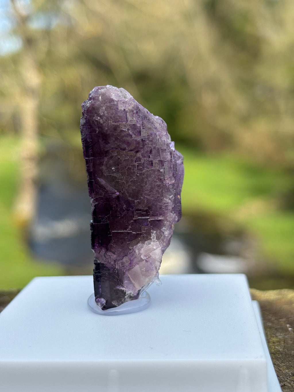 Purple Fluorite Crystal | Natural Healing Stone | Violet Mineral Specimen | Collector Piece in Display Box
