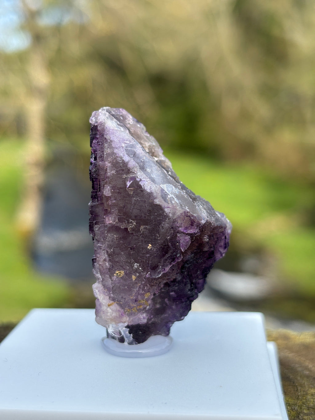 Purple Fluorite Crystal | Natural Healing Stone | Violet Mineral Specimen | Collector Piece in Display Box