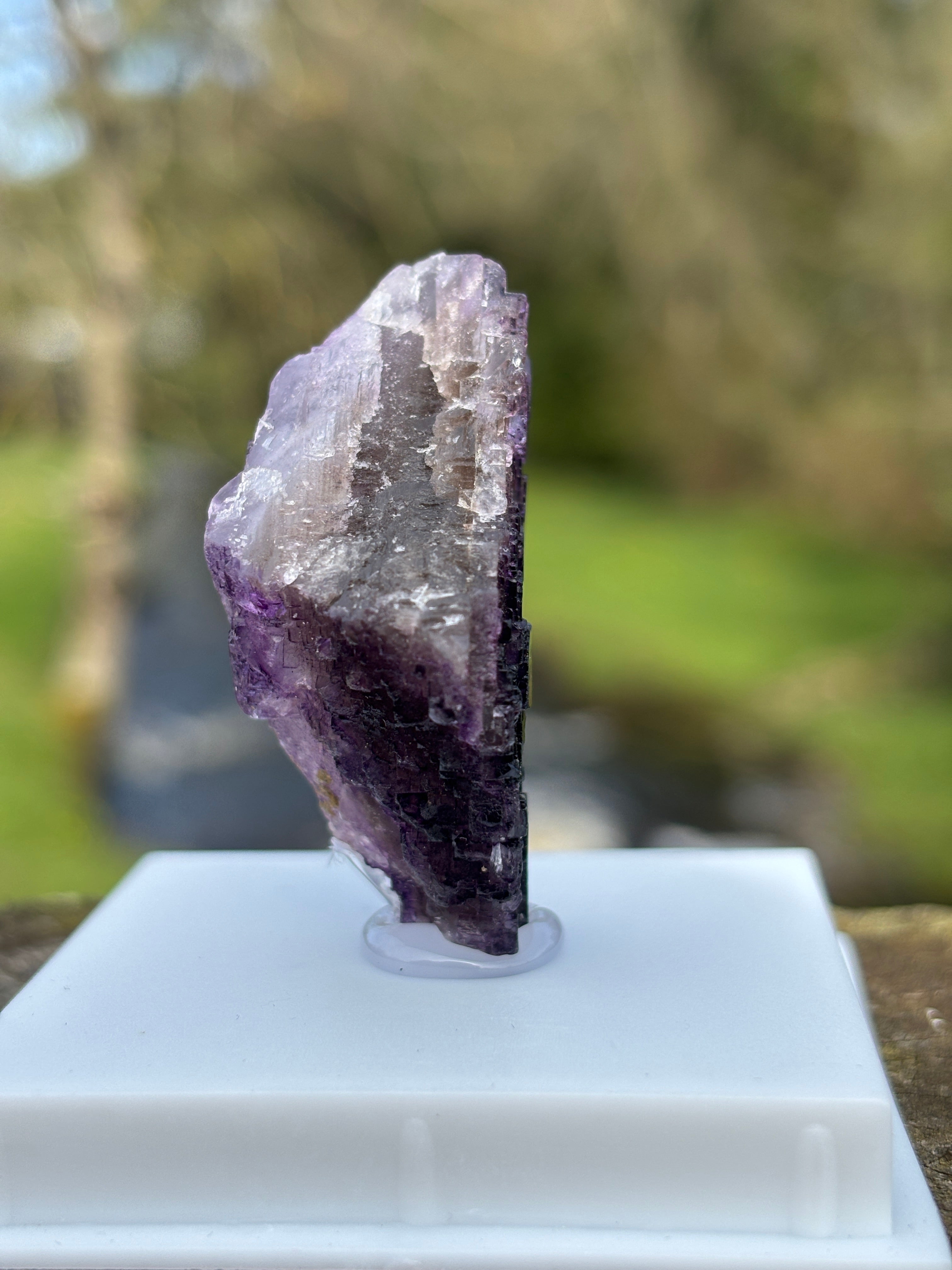 Purple Fluorite Crystal | Natural Healing Stone | Violet Mineral Specimen | Collector Piece in Display Box