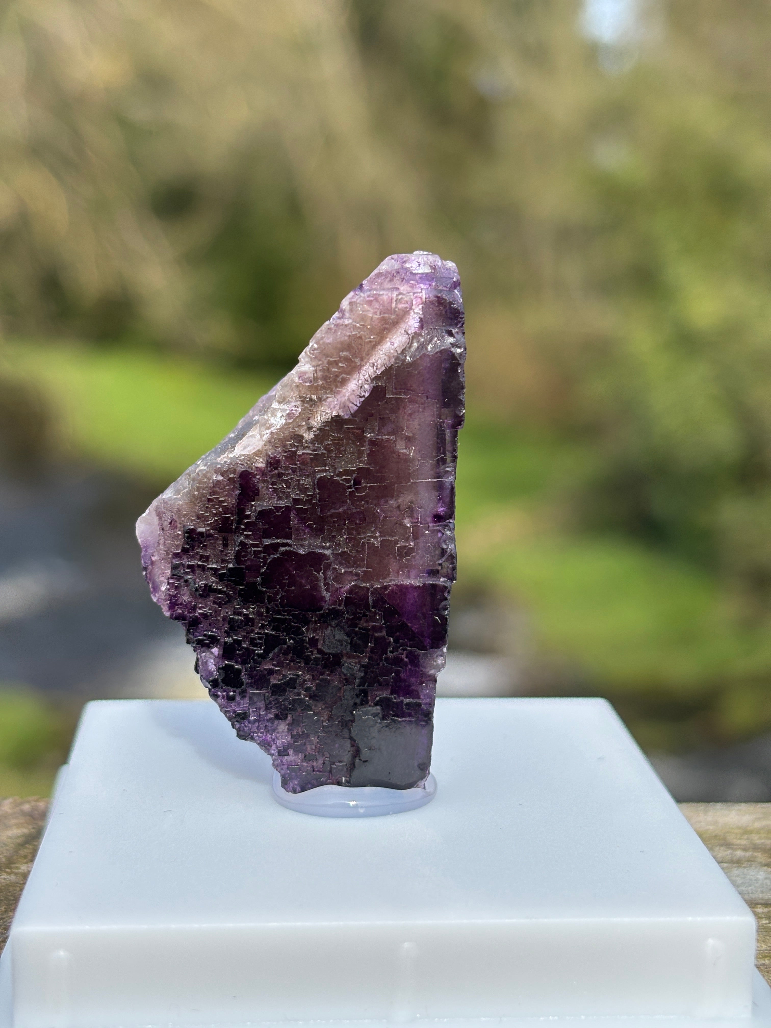 Purple Fluorite Crystal | Natural Healing Stone | Violet Mineral Specimen | Collector Piece in Display Box