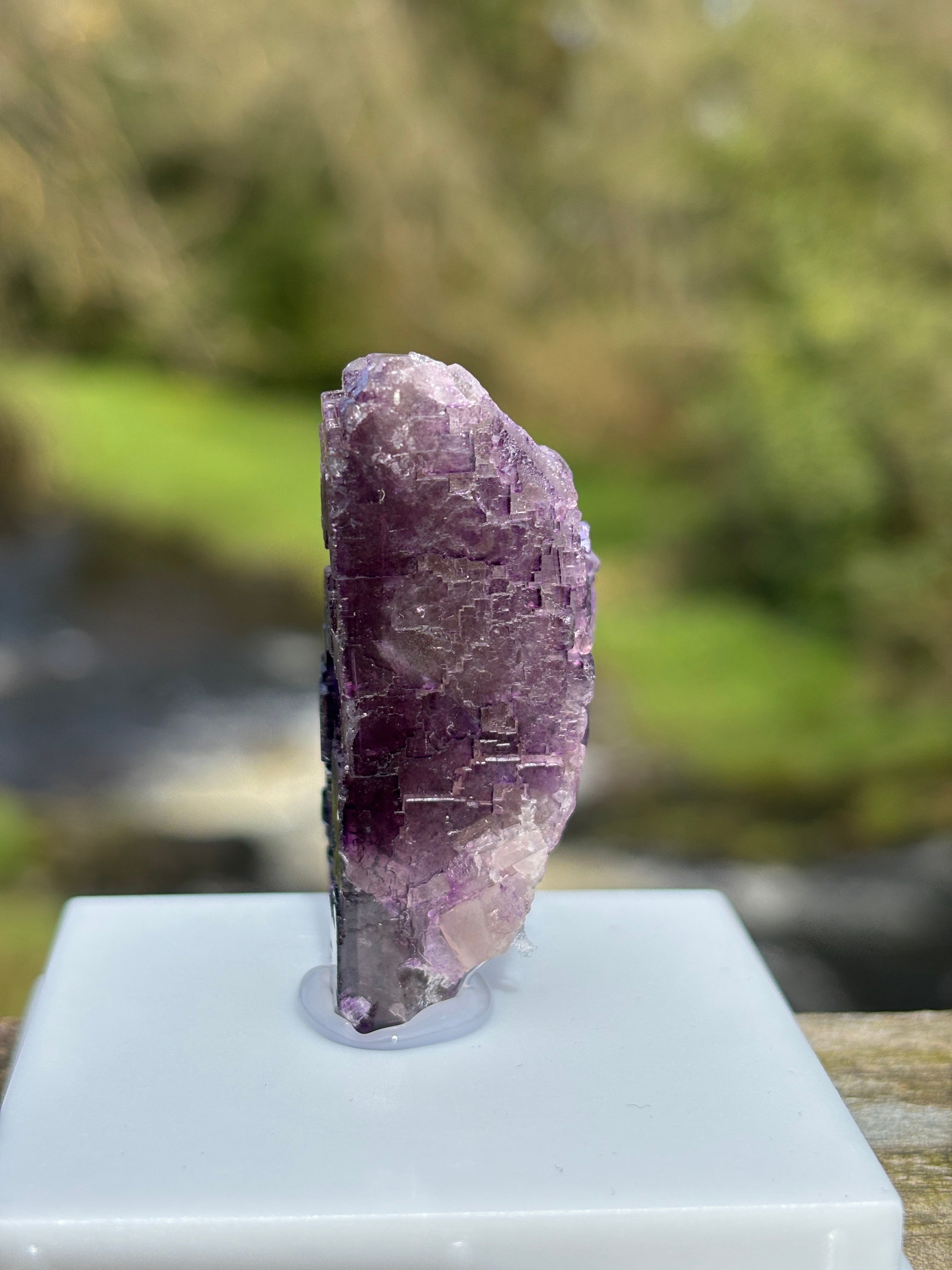 Purple Fluorite Crystal | Natural Healing Stone | Violet Mineral Specimen | Collector Piece in Display Box