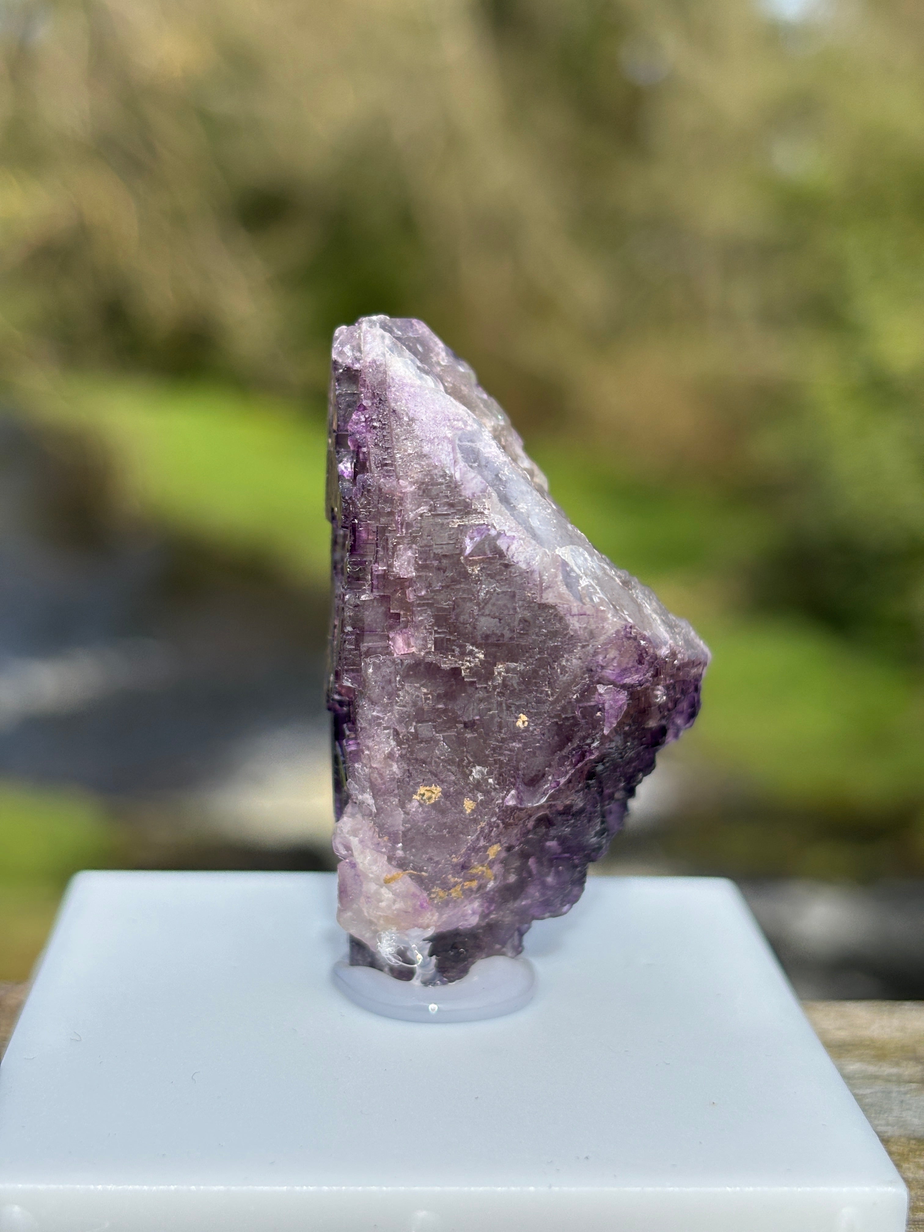 Purple Fluorite Crystal | Natural Healing Stone | Violet Mineral Specimen | Collector Piece in Display Box