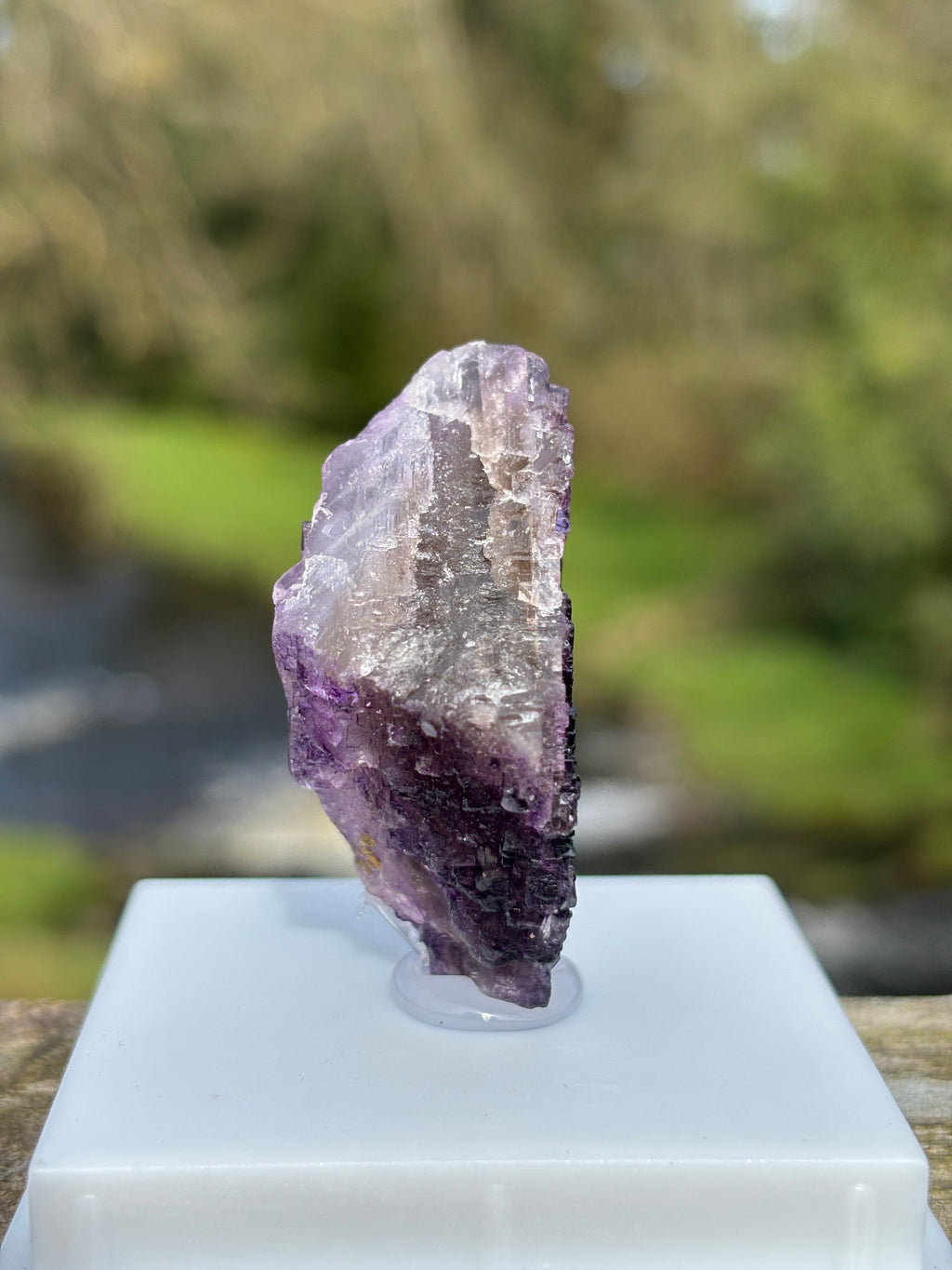 Purple Fluorite Crystal | Natural Healing Stone | Violet Mineral Specimen | Collector Piece in Display Box