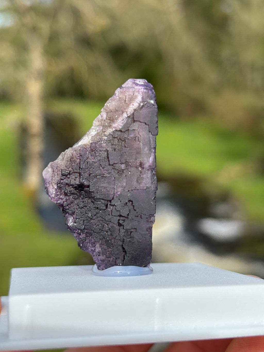 Purple Fluorite Crystal | Natural Healing Stone | Violet Mineral Specimen | Collector Piece in Display Box