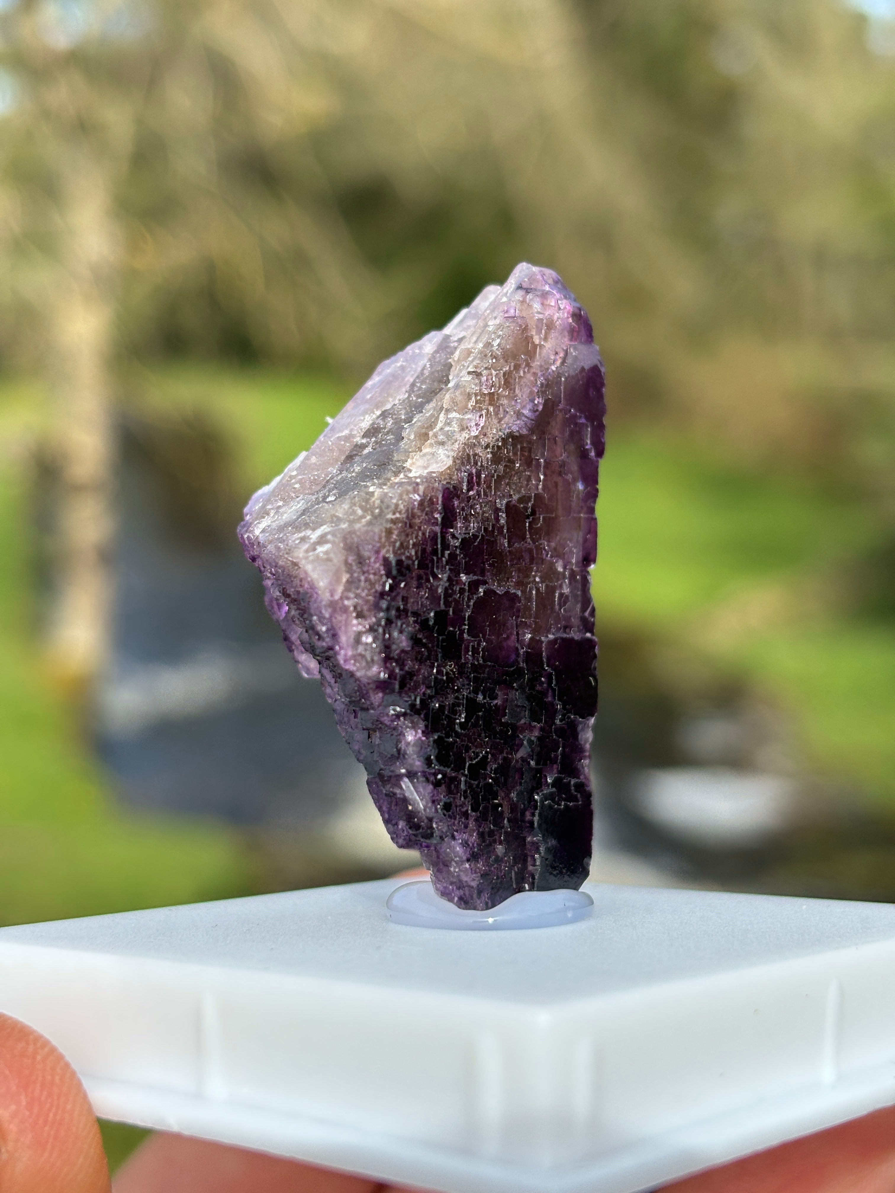Purple Fluorite Crystal | Natural Healing Stone | Violet Mineral Specimen | Collector Piece in Display Box