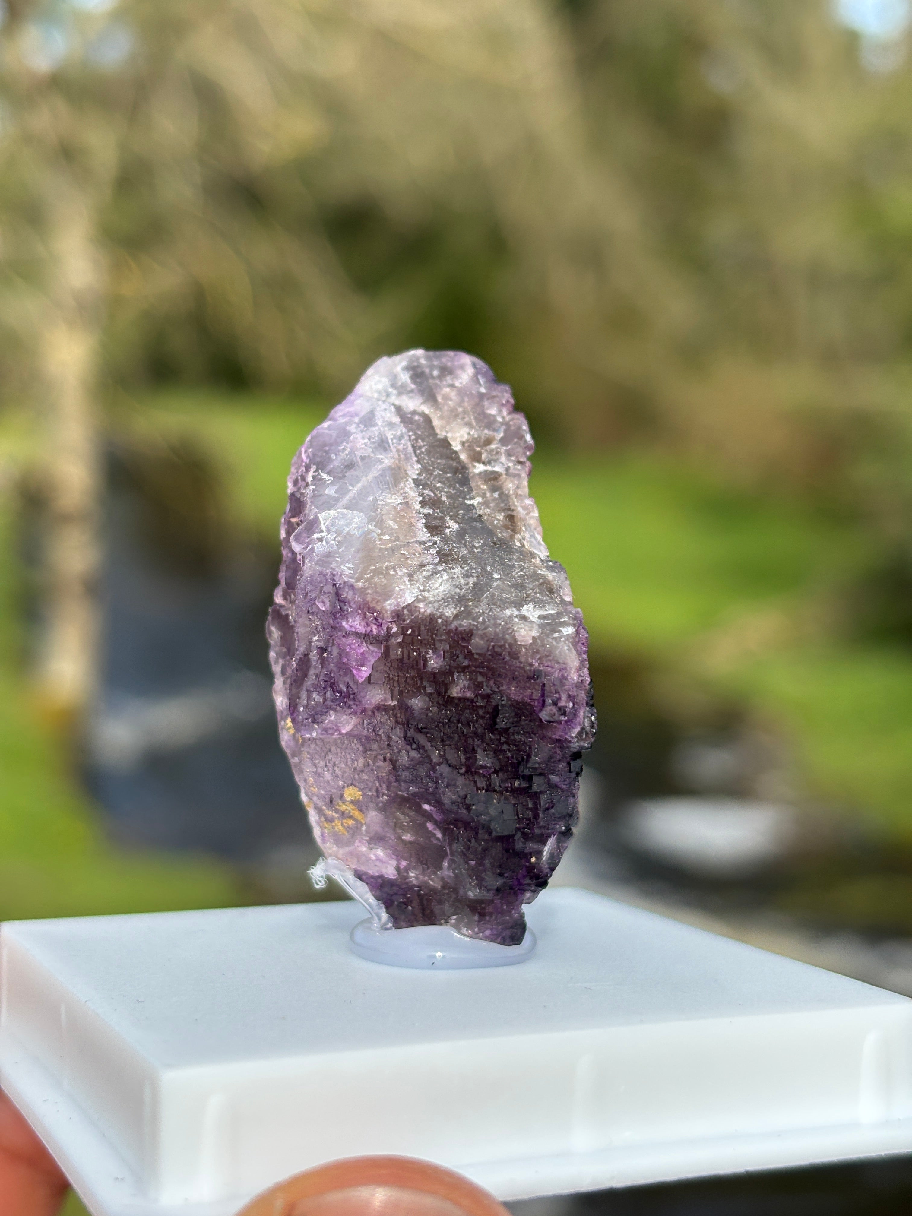 Purple Fluorite Crystal | Natural Healing Stone | Violet Mineral Specimen | Collector Piece in Display Box
