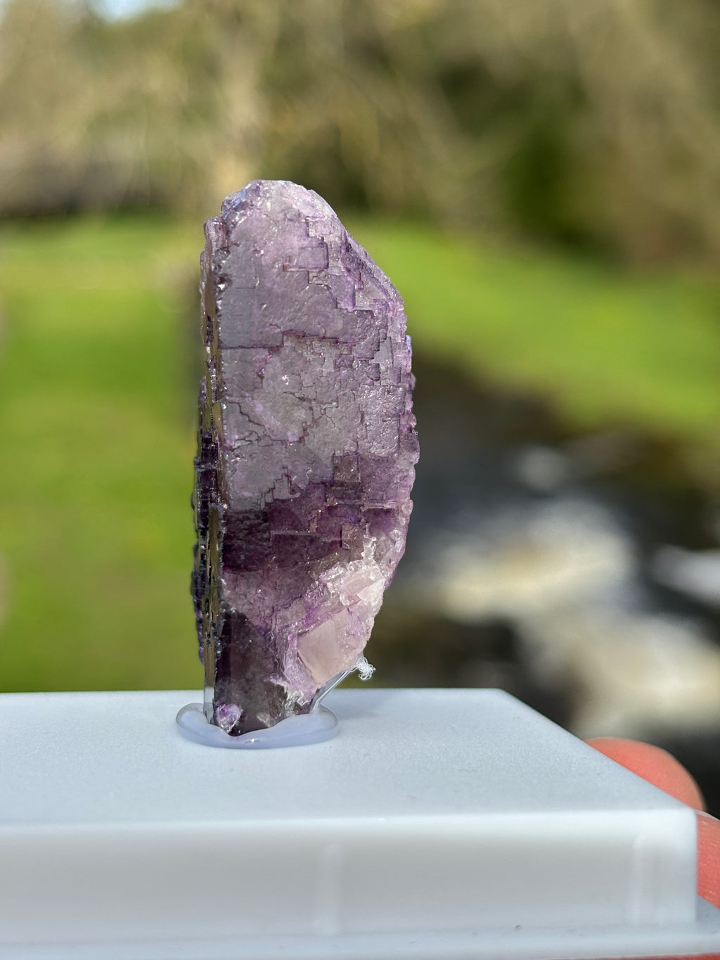 Purple Fluorite Crystal | Natural Healing Stone | Violet Mineral Specimen | Collector Piece in Display Box