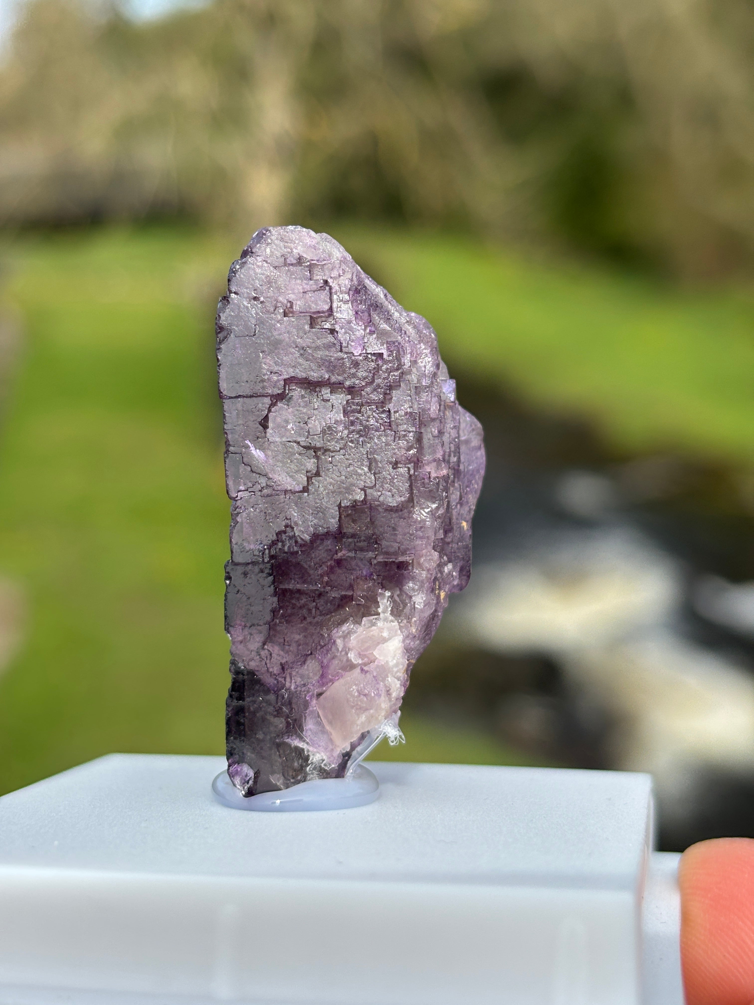 Purple Fluorite Crystal | Natural Healing Stone | Violet Mineral Specimen | Collector Piece in Display Box
