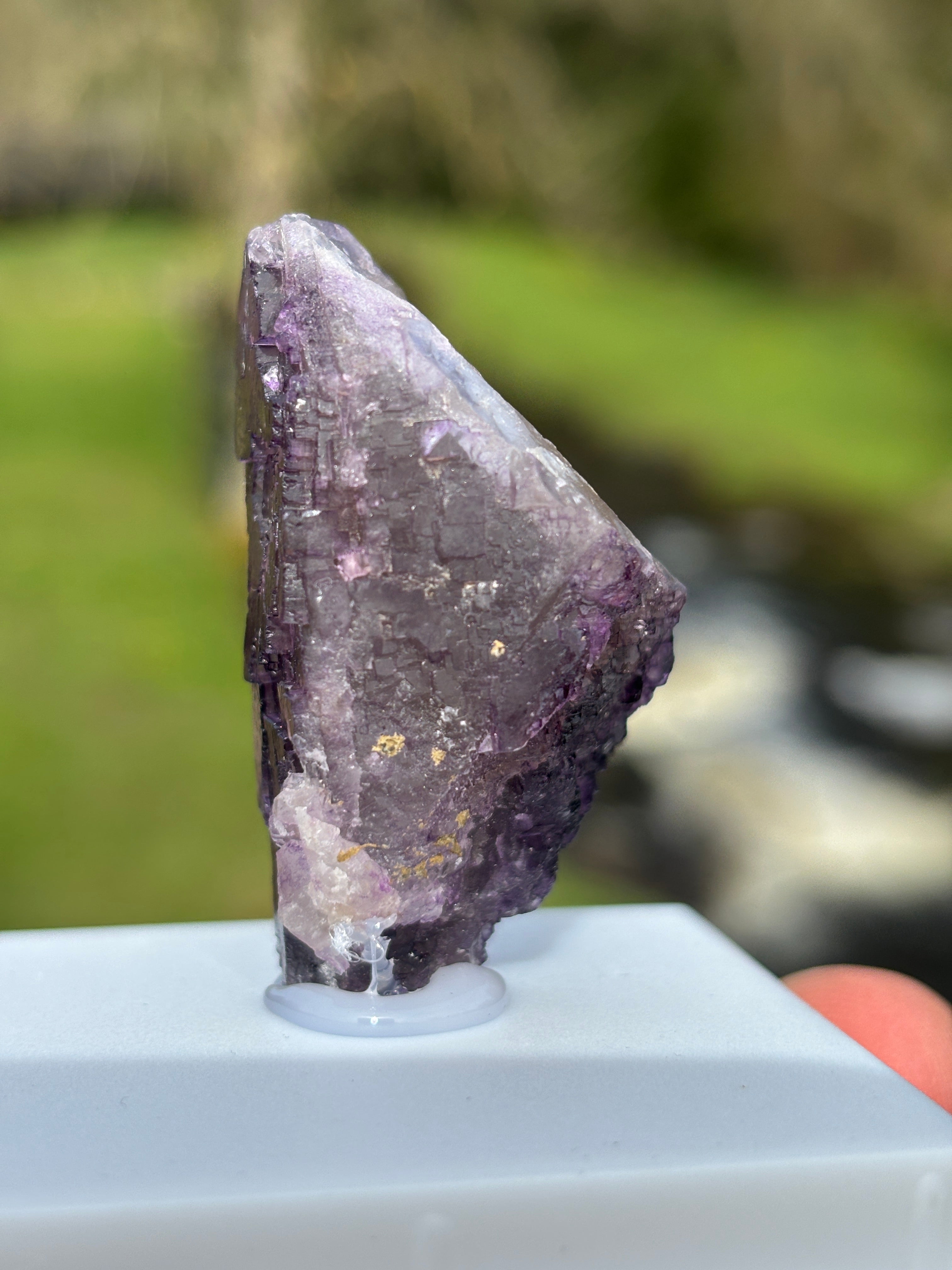 Purple Fluorite Crystal | Natural Healing Stone | Violet Mineral Specimen | Collector Piece in Display Box
