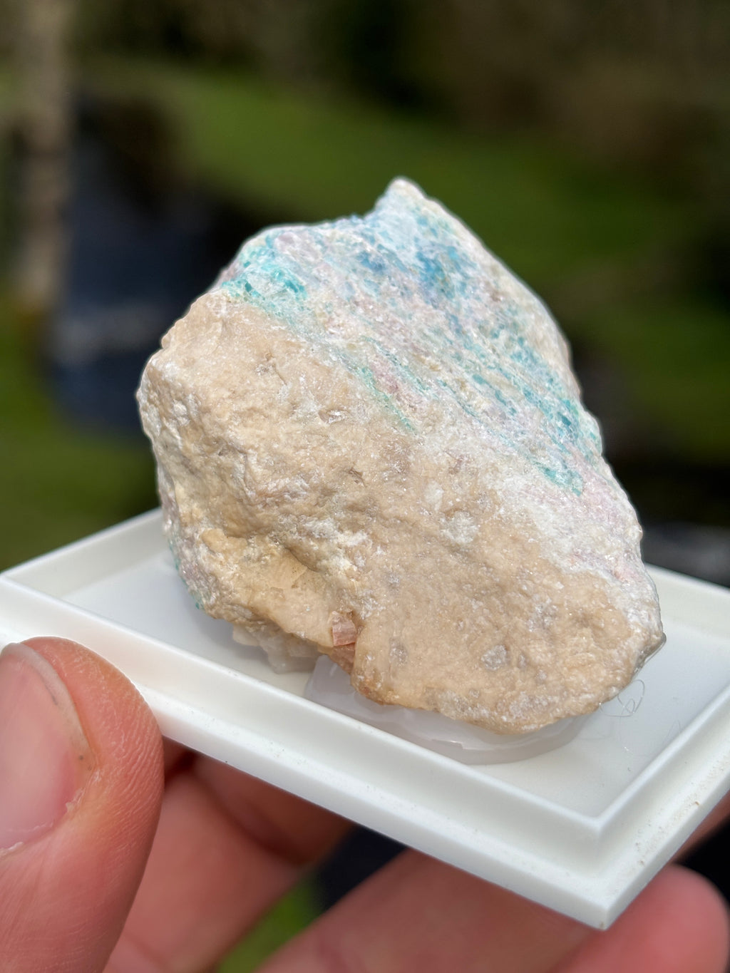 Paraiba Tourmaline Matrix | Natural Blue Crystal | Collector Mineral in Display Box | Rare Gemstone Specimen