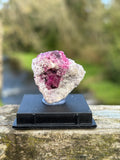 Watermelon Tourmaline Matrix | Natural Pink Green Crystal | Collector Mineral in Display Box | Rare Gemstone