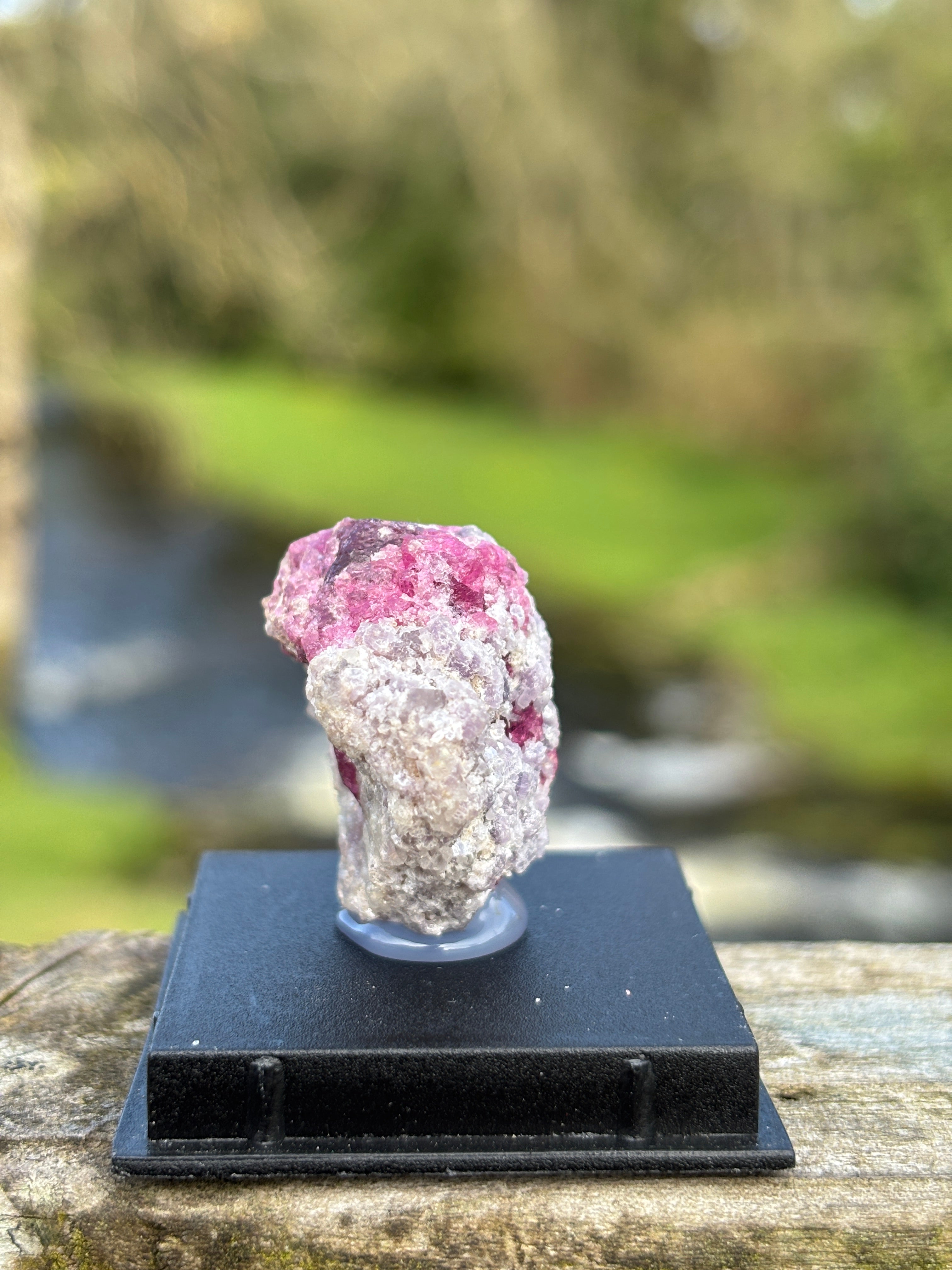Watermelon Tourmaline Matrix | Natural Pink Green Crystal | Collector Mineral in Display Box | Rare Gemstone