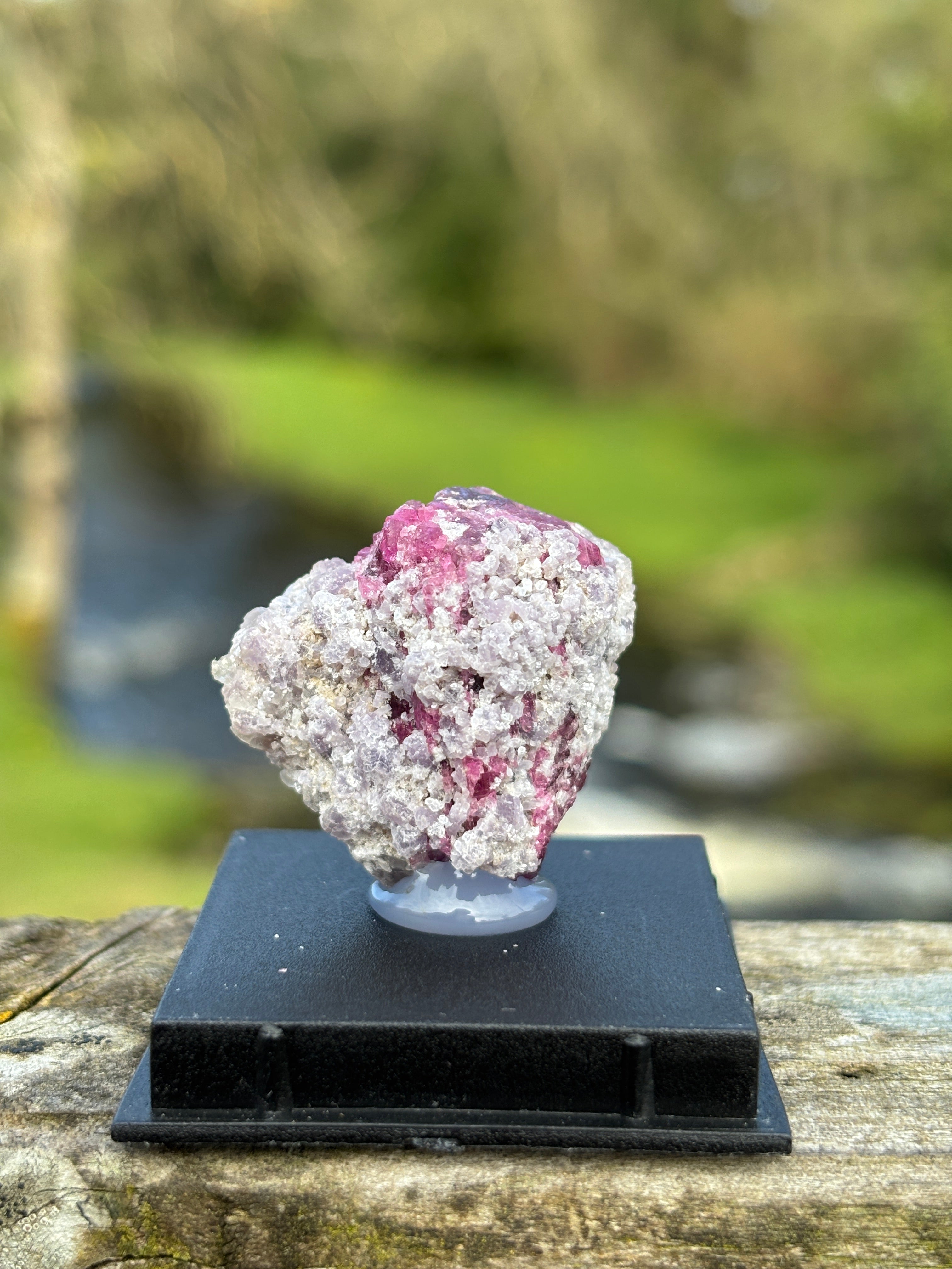 Watermelon Tourmaline Matrix | Natural Pink Green Crystal | Collector Mineral in Display Box | Rare Gemstone