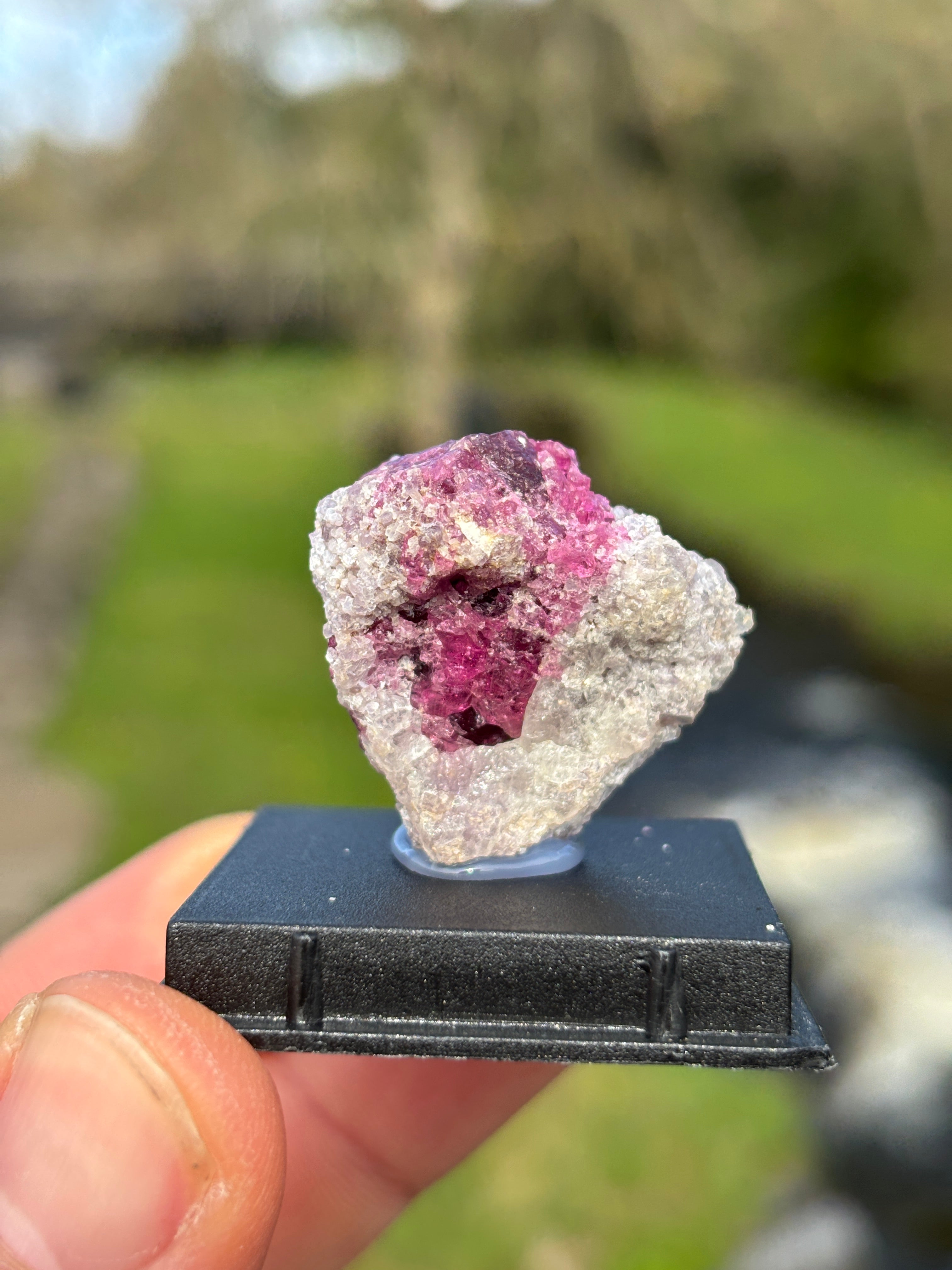 Watermelon Tourmaline Matrix | Natural Pink Green Crystal | Collector Mineral in Display Box | Rare Gemstone