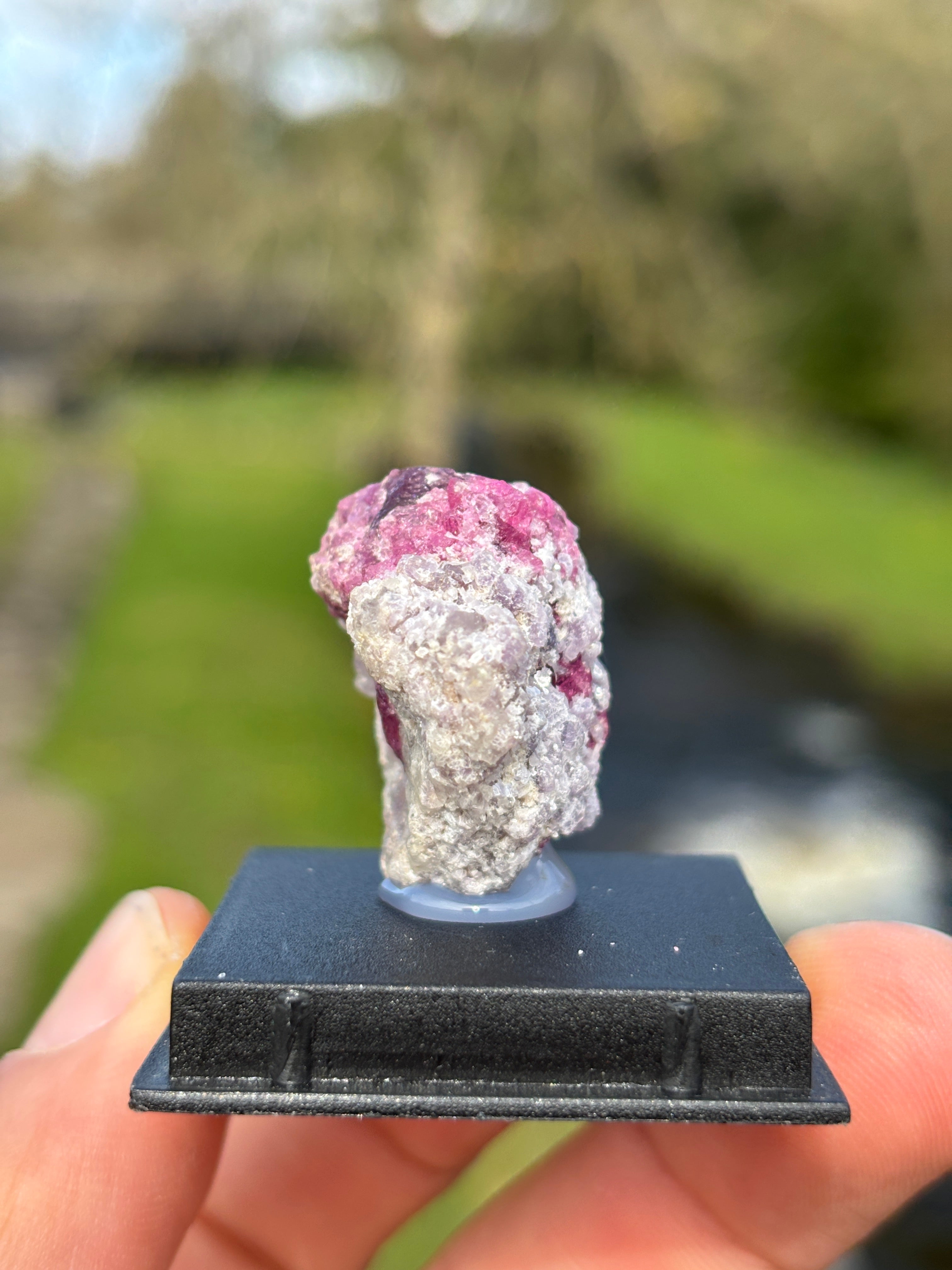 Watermelon Tourmaline Matrix | Natural Pink Green Crystal | Collector Mineral in Display Box | Rare Gemstone