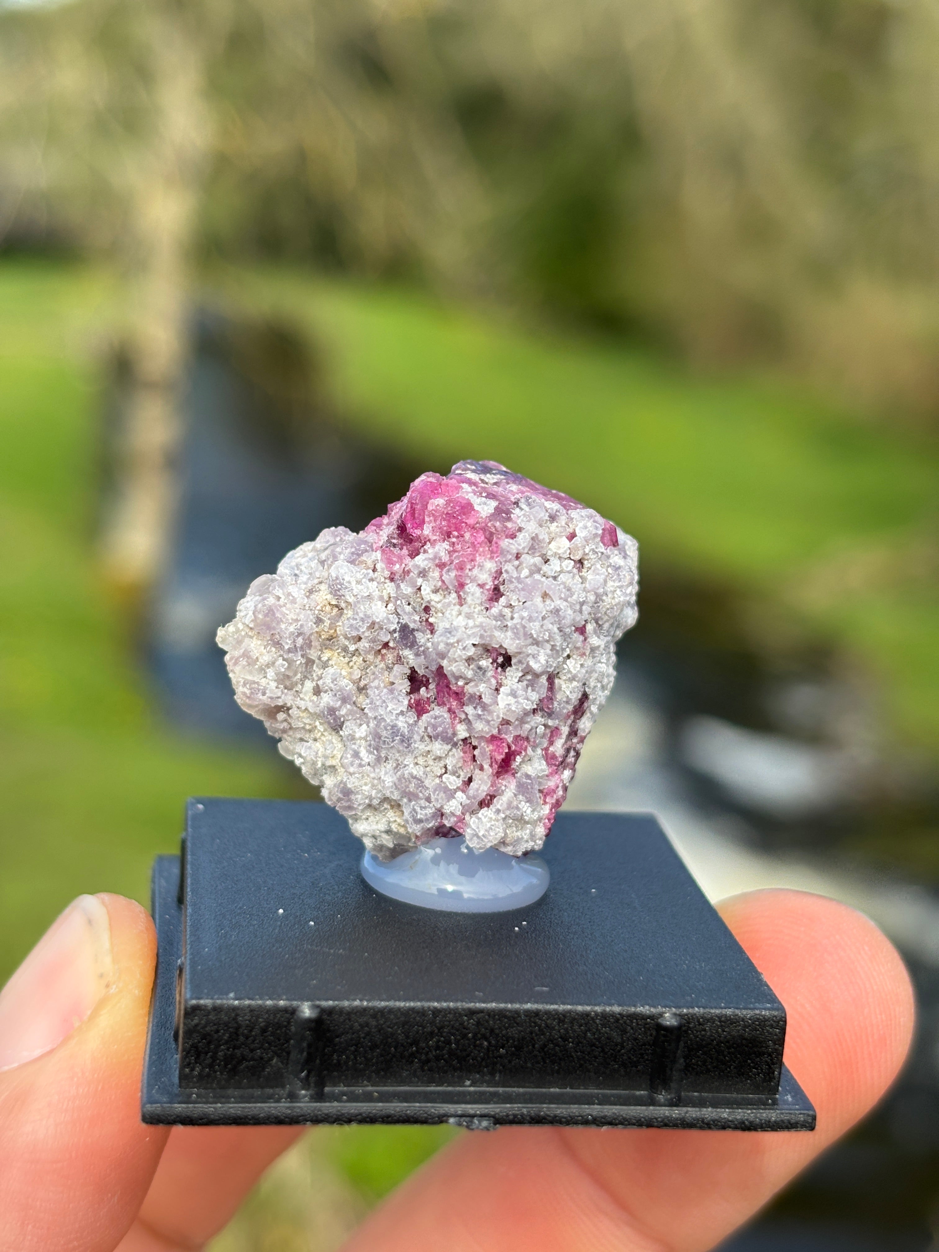 Watermelon Tourmaline Matrix | Natural Pink Green Crystal | Collector Mineral in Display Box | Rare Gemstone