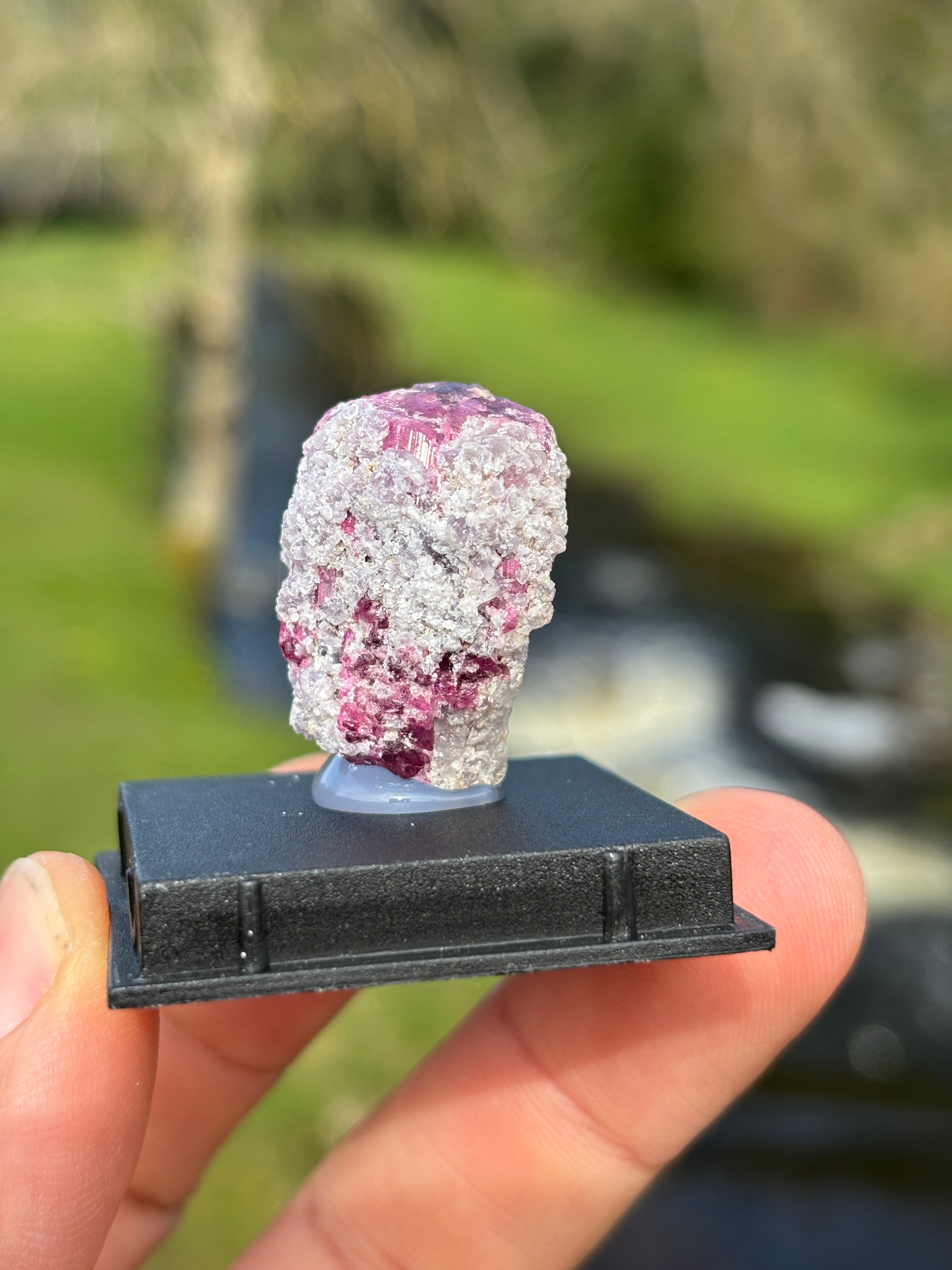 Watermelon Tourmaline Matrix | Natural Pink Green Crystal | Collector Mineral in Display Box | Rare Gemstone