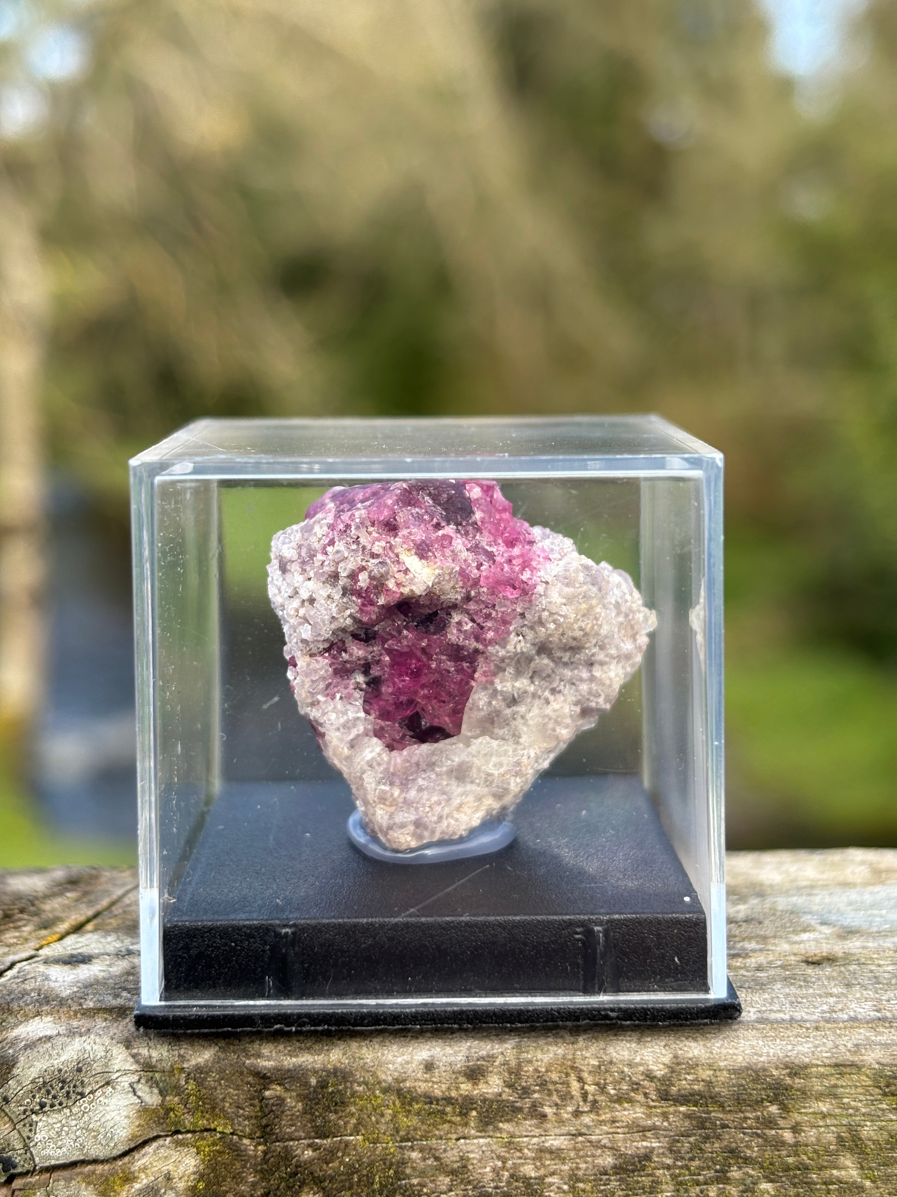 Watermelon Tourmaline Matrix | Natural Pink Green Crystal | Collector Mineral in Display Box | Rare Gemstone