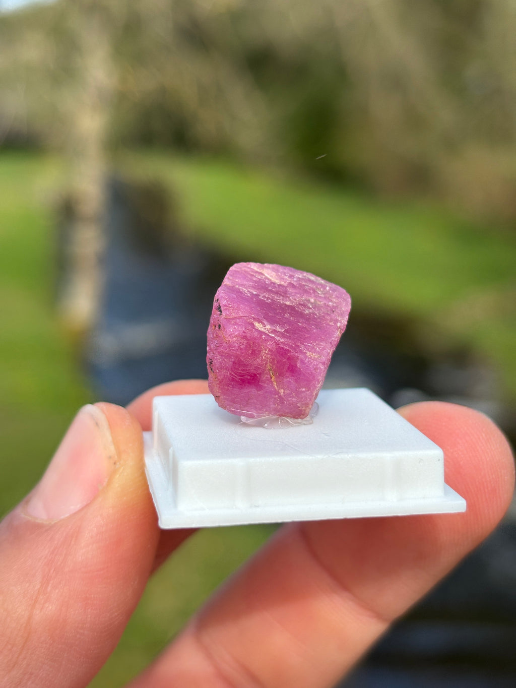 Raw Ruby Crystal | Natural Corundum Gemstone | Red Healing Stone | Collector Mineral | Rough Ruby