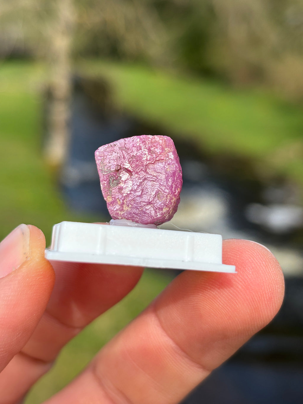 Raw Ruby Crystal | Natural Corundum Gemstone | Red Healing Stone | Collector Mineral | Rough Ruby