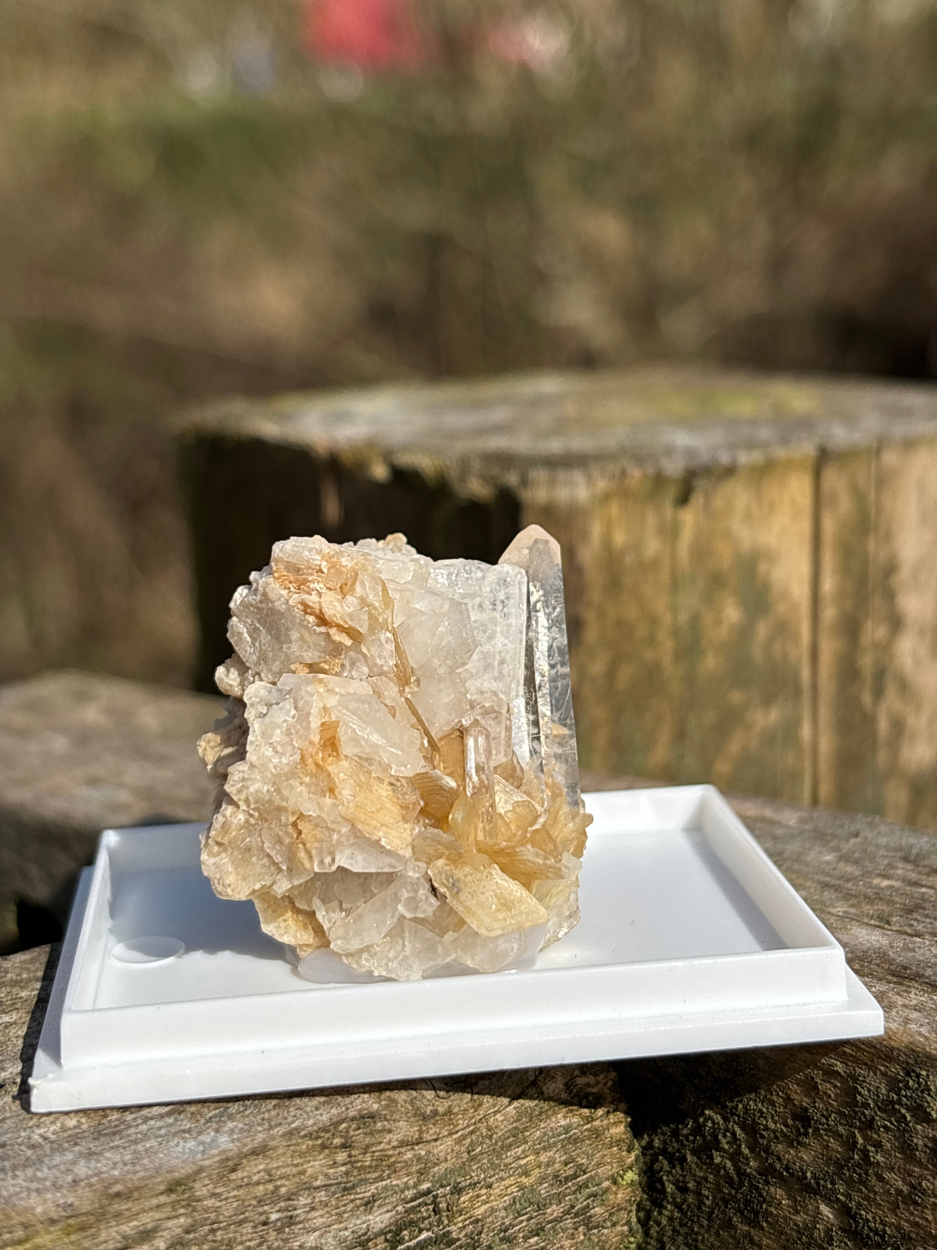 Quartz Druzy with Mica | Natural Crystal Cluster | Sparkling Mineral Specimen | Collector Stone | Healing Quartz