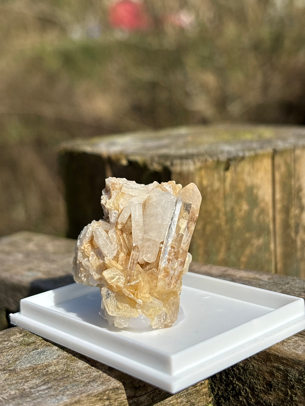 Quartz Druzy with Mica | Natural Crystal Cluster | Sparkling Mineral Specimen | Collector Stone | Healing Quartz