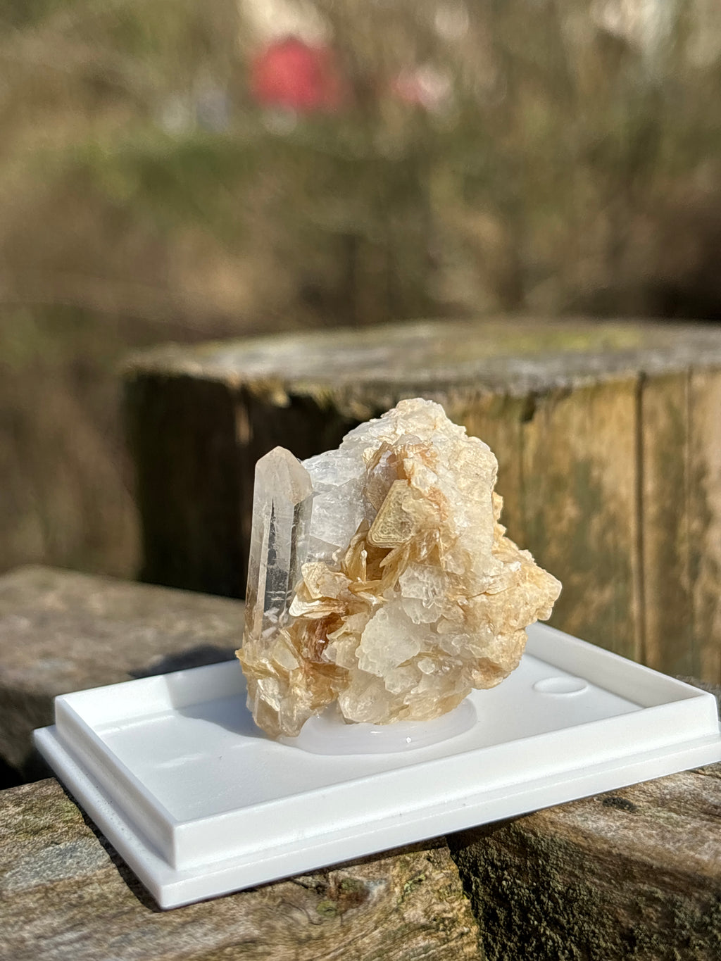 Quartz Druzy with Mica | Natural Crystal Cluster | Sparkling Mineral Specimen | Collector Stone | Healing Quartz