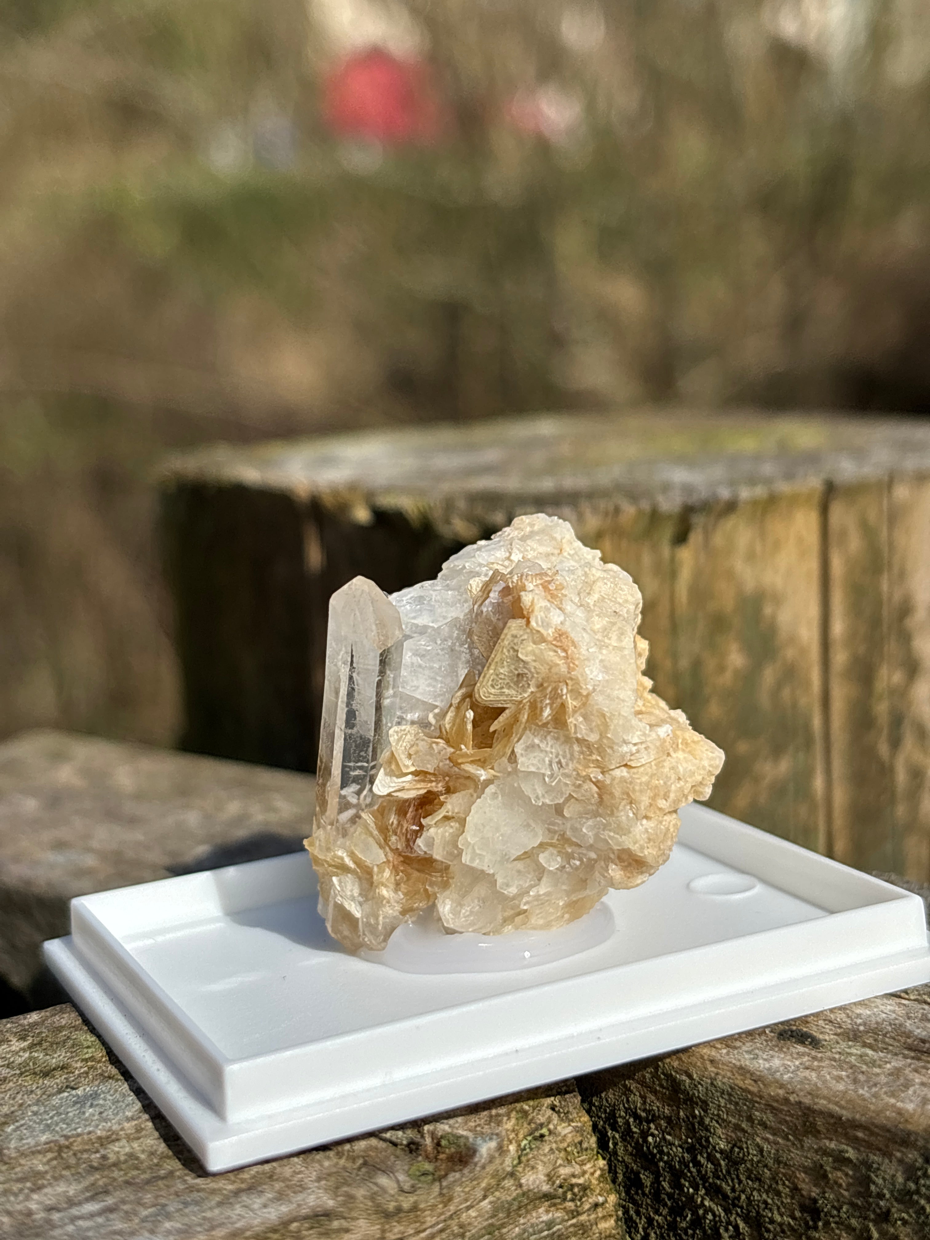 Quartz Druzy with Mica | Natural Crystal Cluster | Sparkling Mineral Specimen | Collector Stone | Healing Quartz