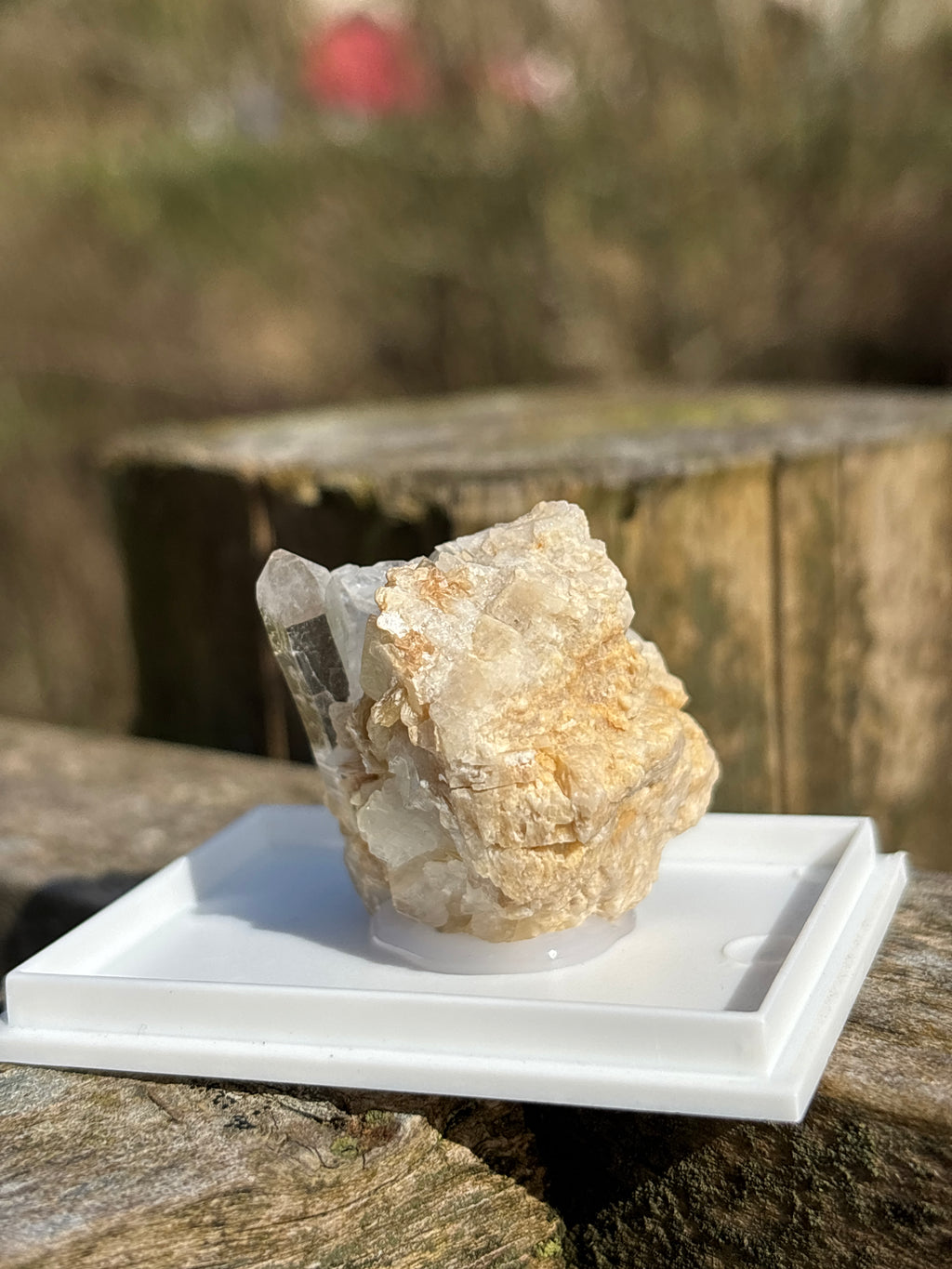 Quartz Druzy with Mica | Natural Crystal Cluster | Sparkling Mineral Specimen | Collector Stone | Healing Quartz
