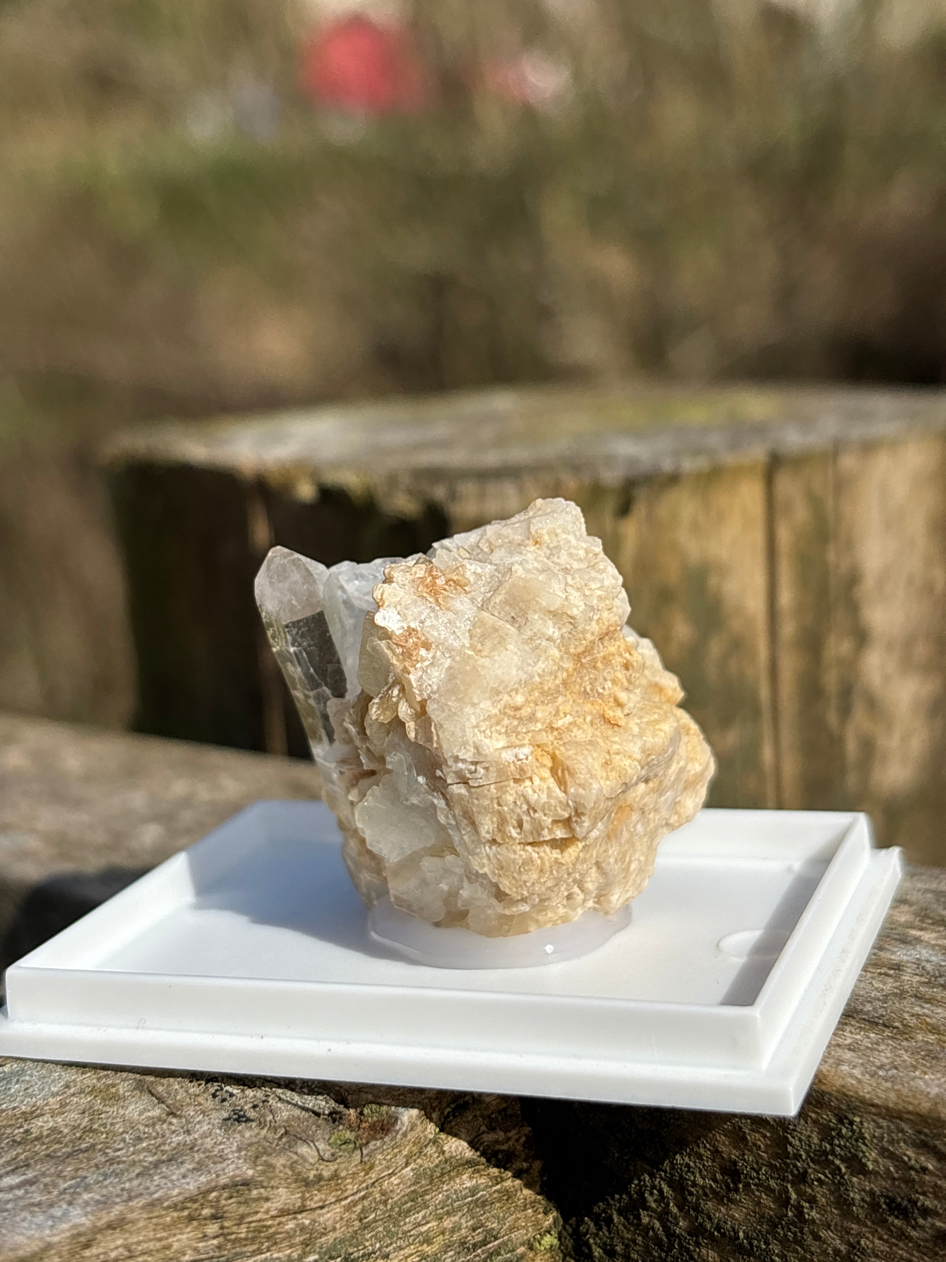 Quartz Druzy with Mica | Natural Crystal Cluster | Sparkling Mineral Specimen | Collector Stone | Healing Quartz