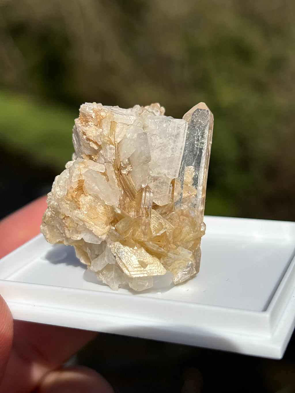 Quartz Druzy with Mica | Natural Crystal Cluster | Sparkling Mineral Specimen | Collector Stone | Healing Quartz