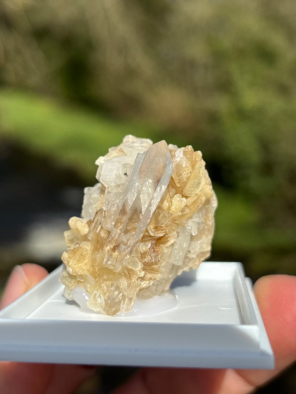 Quartz Druzy with Mica | Natural Crystal Cluster | Sparkling Mineral Specimen | Collector Stone | Healing Quartz