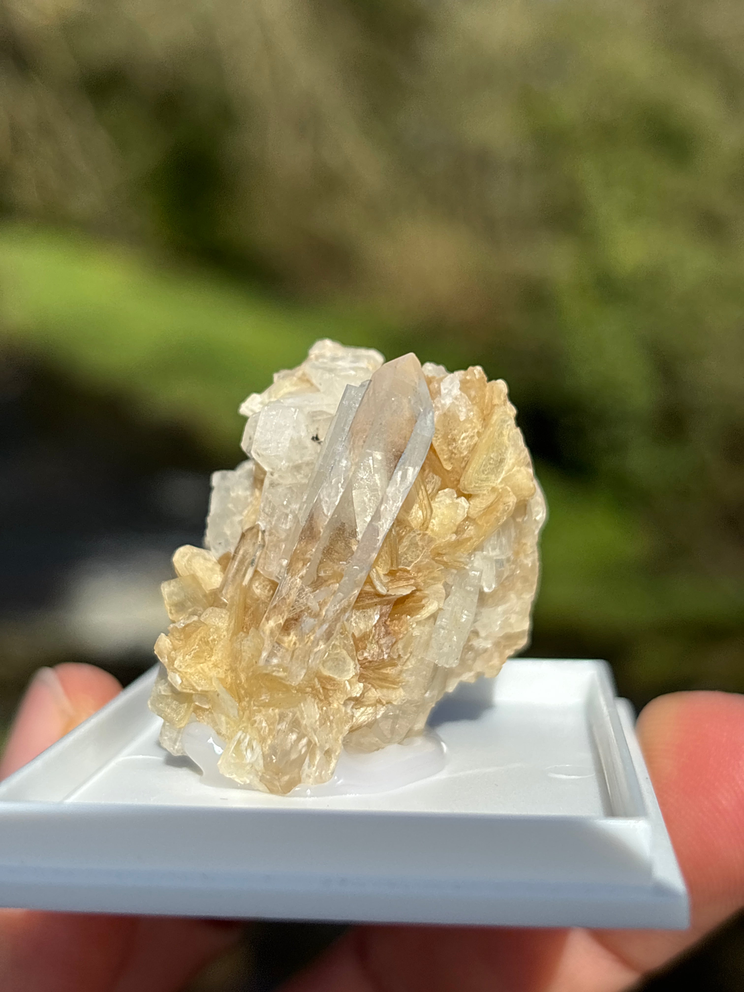 Quartz Druzy with Mica | Natural Crystal Cluster | Sparkling Mineral Specimen | Collector Stone | Healing Quartz