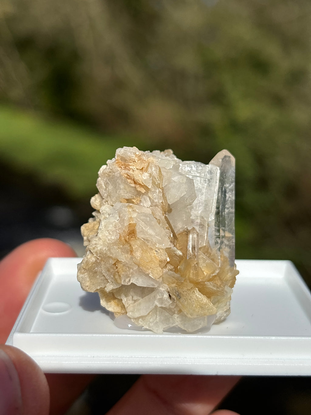 Quartz Druzy with Mica | Natural Crystal Cluster | Sparkling Mineral Specimen | Collector Stone | Healing Quartz
