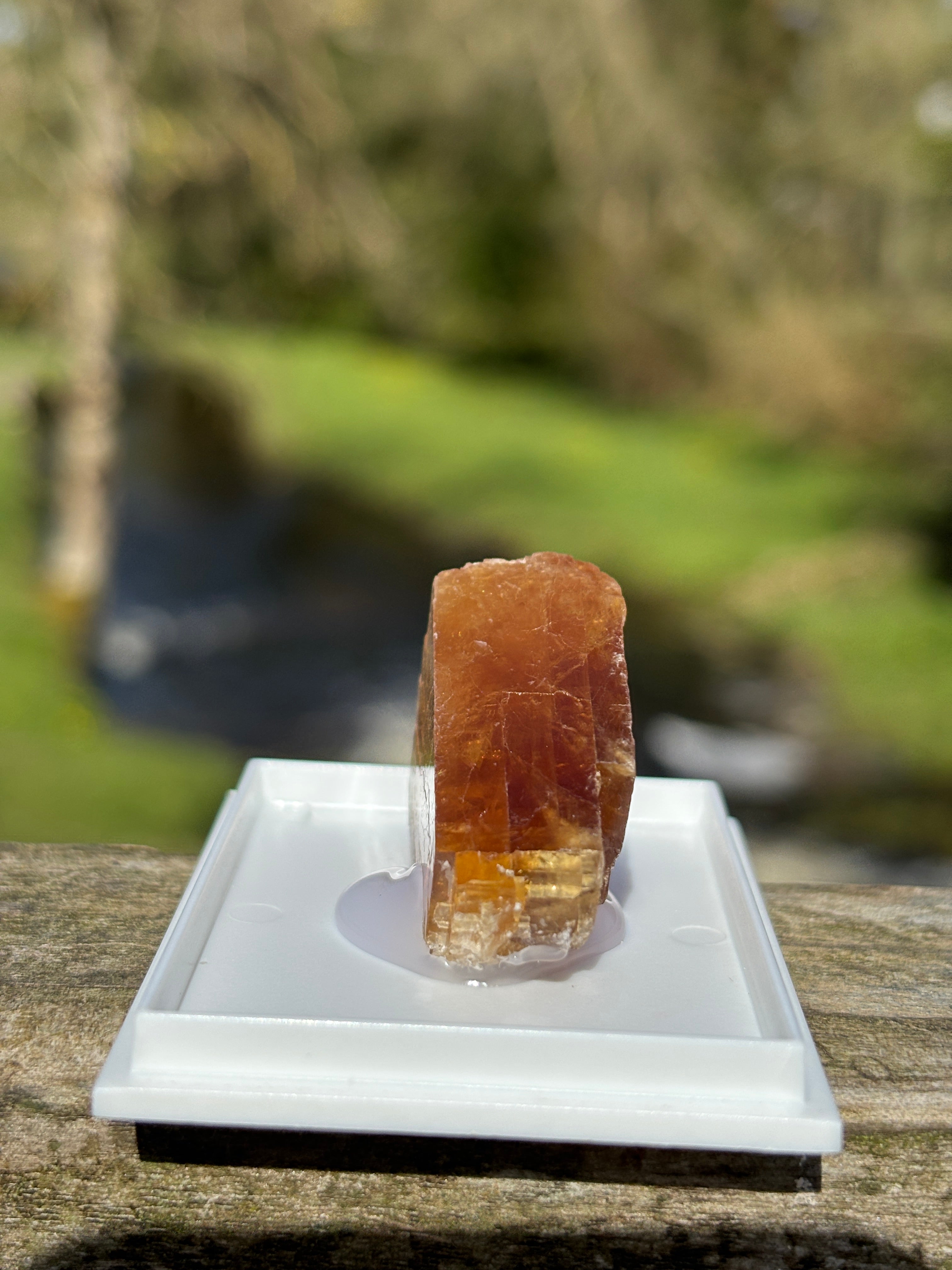 Honey Calcite Crystal | Natural Golden Healing Stone | Solar Plexus Energy Crystal | Raw Mineral Specimen