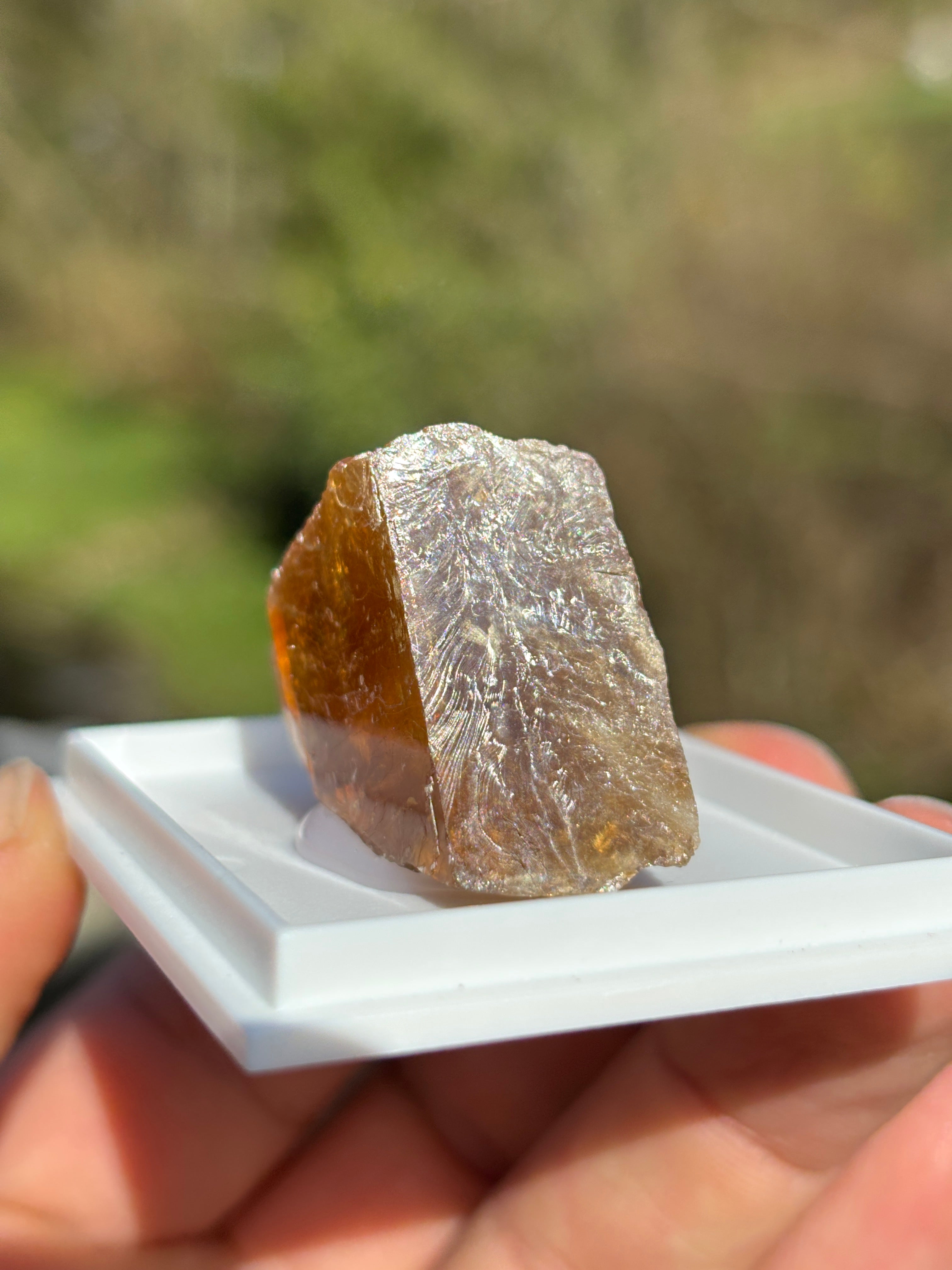 Honey Calcite Crystal | Natural Golden Healing Stone | Solar Plexus Energy Crystal | Raw Mineral Specimen